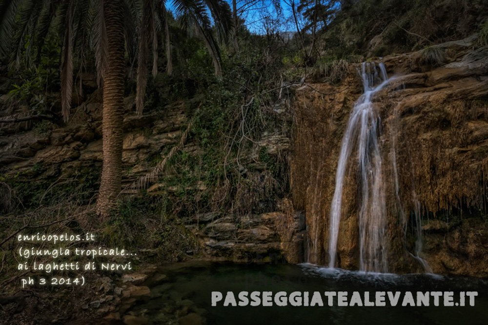 giungla tropicale ai laghetti di nervi