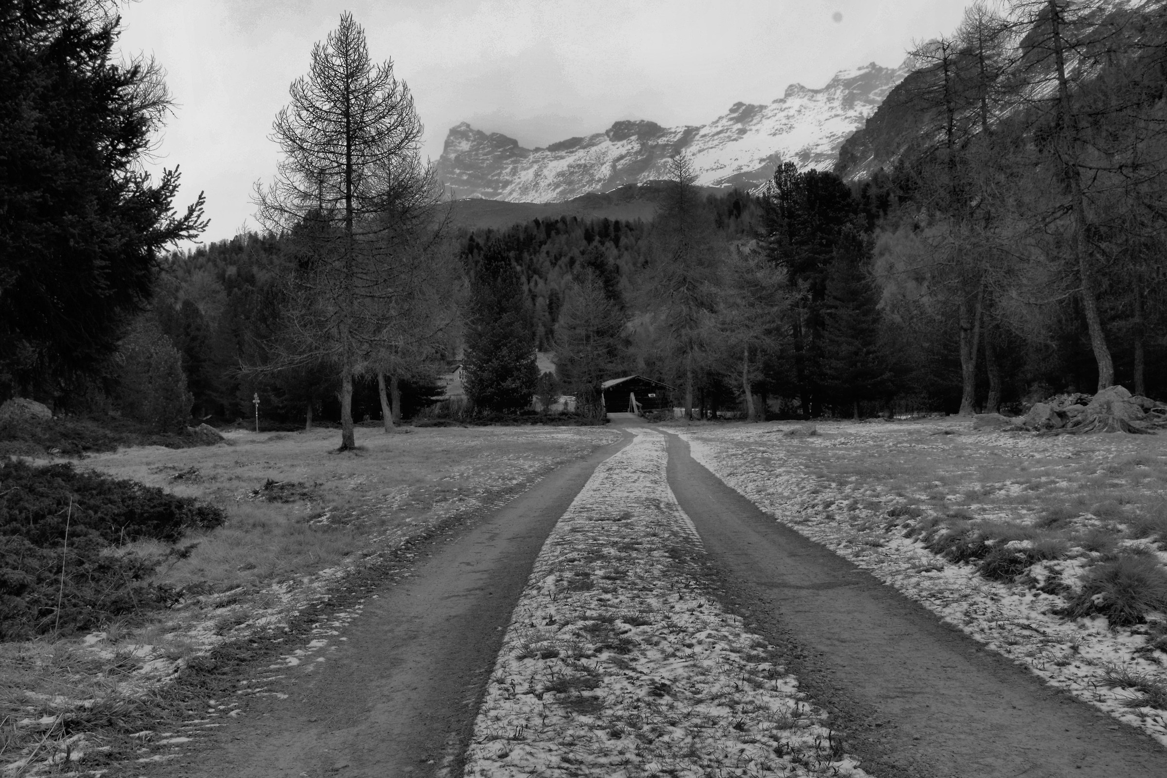 Passeggiata post neve...