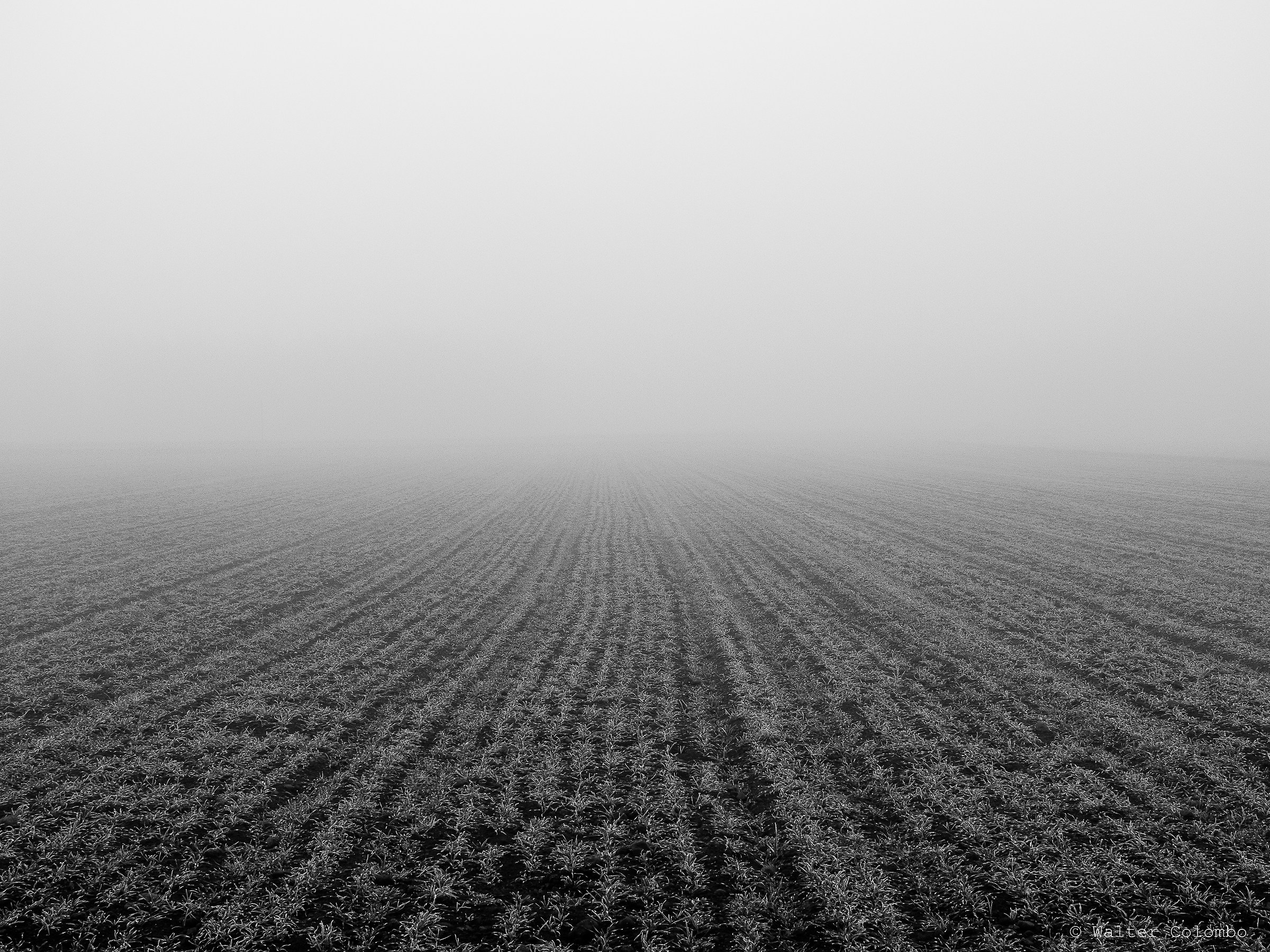 Convergenze Lombarde / Verso l'Infinito