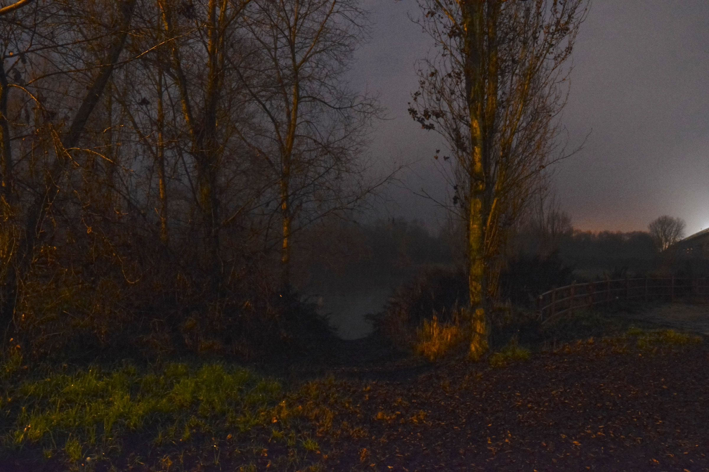 quando la natura dipinge...