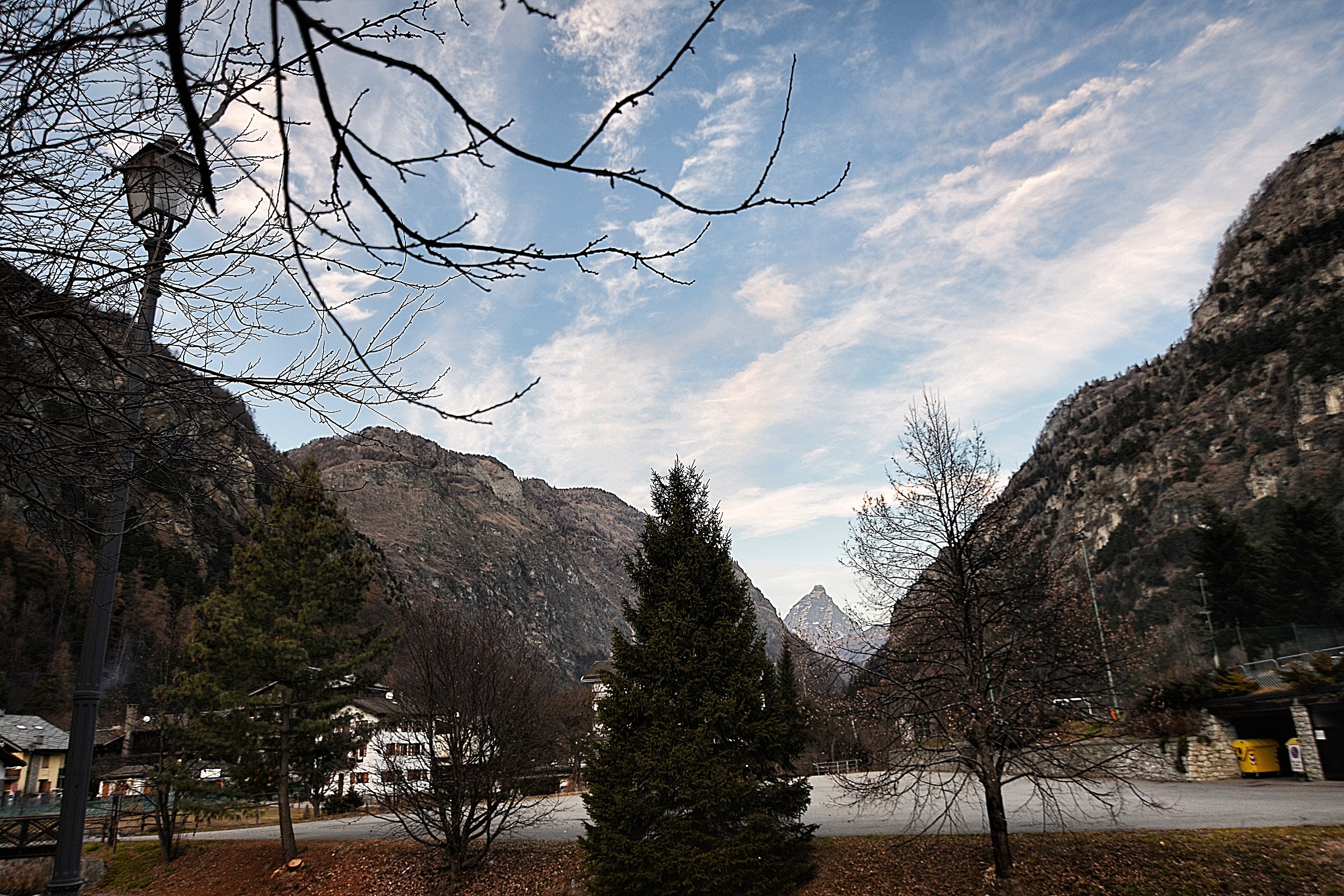 He is there at the bottom .....