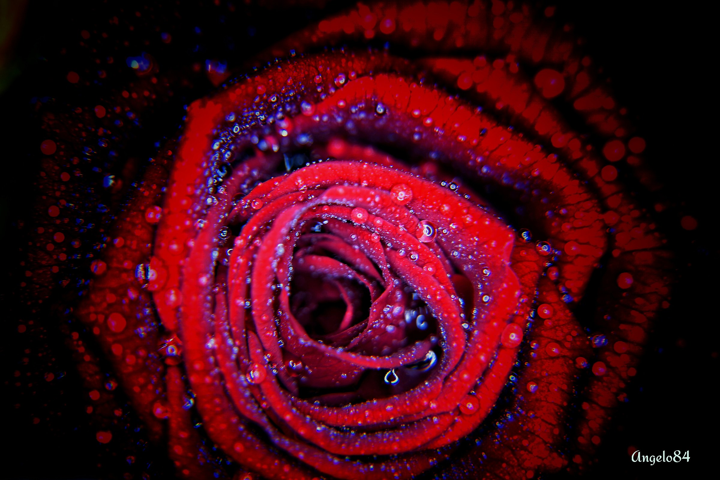 Forse in amore.. non si usano più..