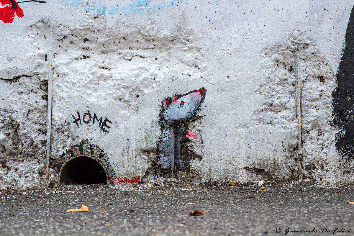 Detail - Artist: Paul and Dilkabear Petrangeli