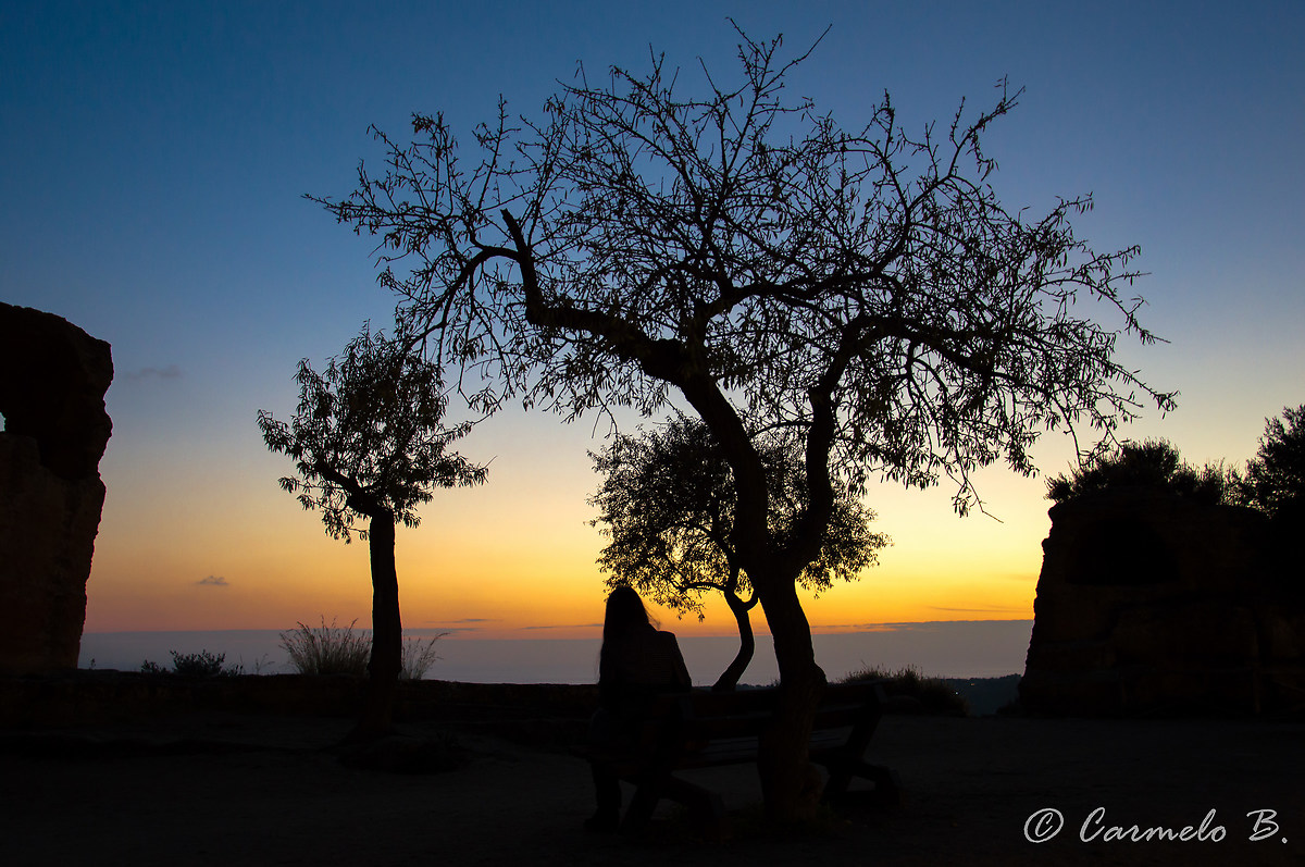 Silhouette al tramonto