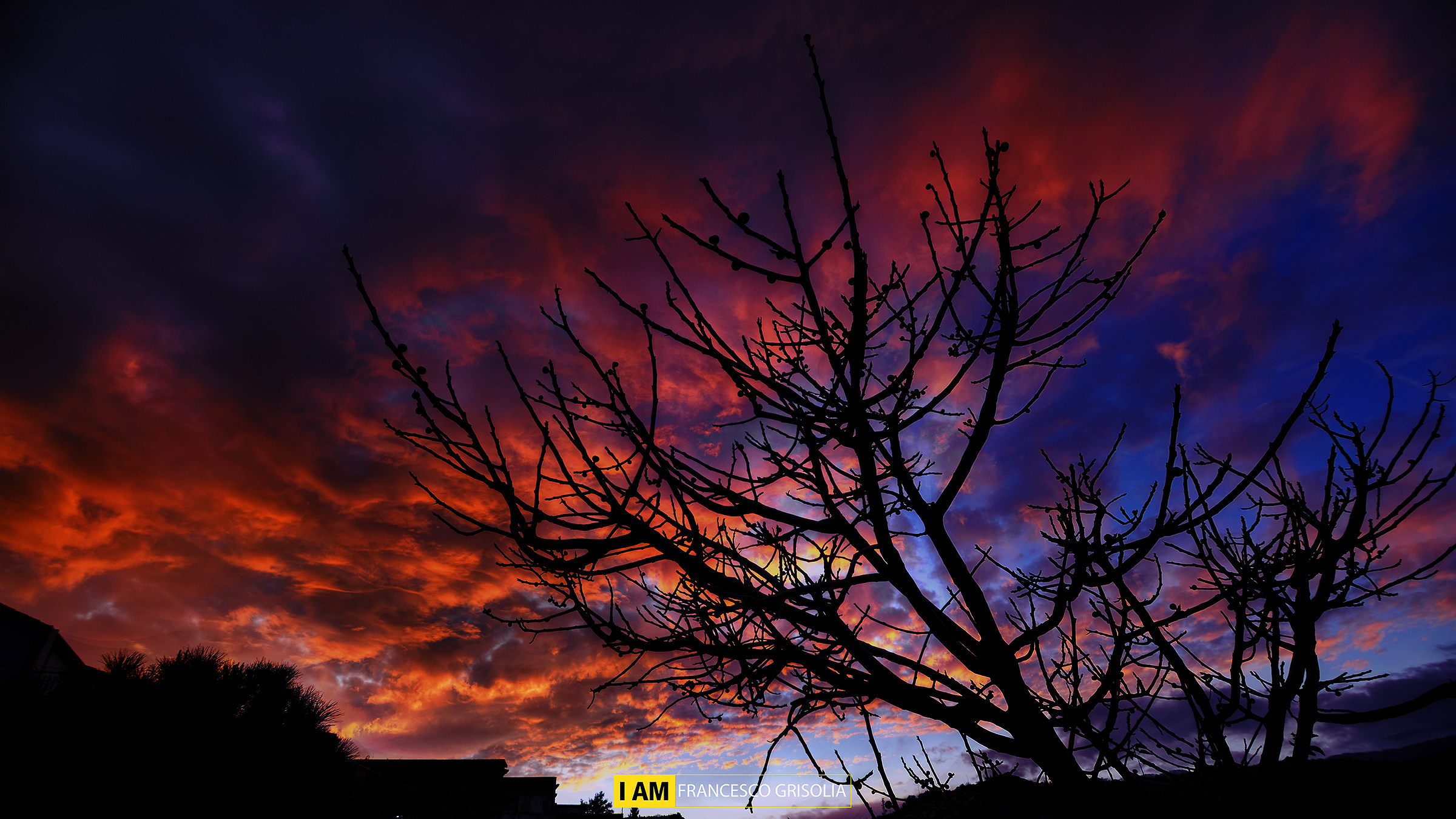 L'albero e le nuvole