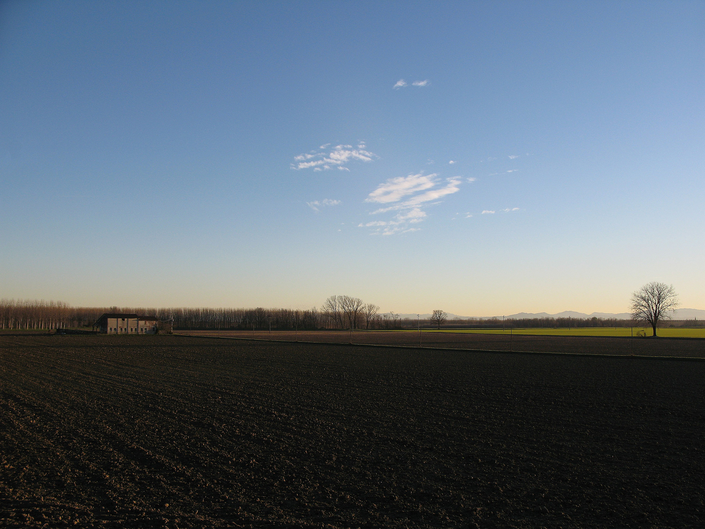 in the flood plains of the Po
