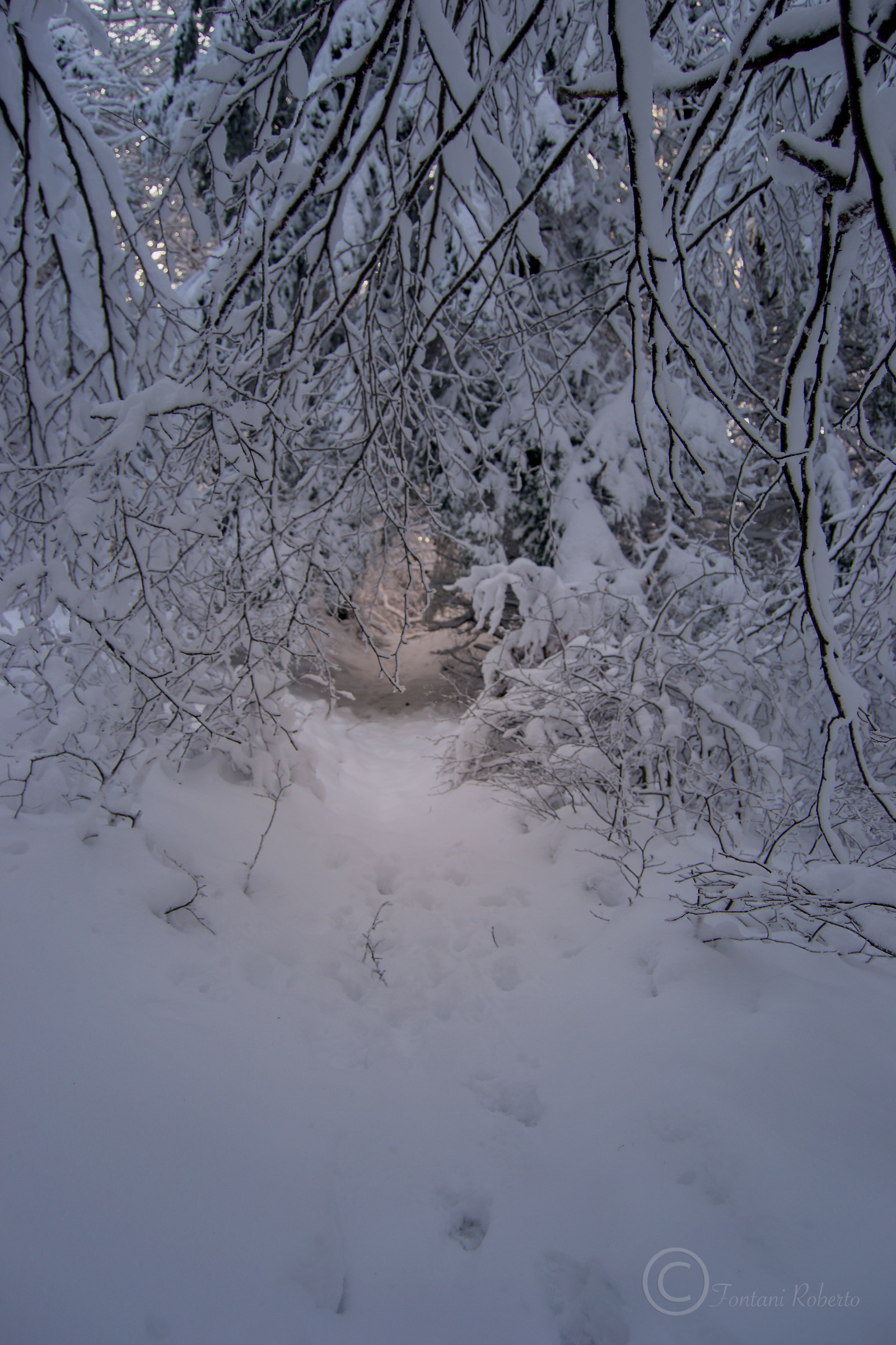 La luce in fondo al tunnel