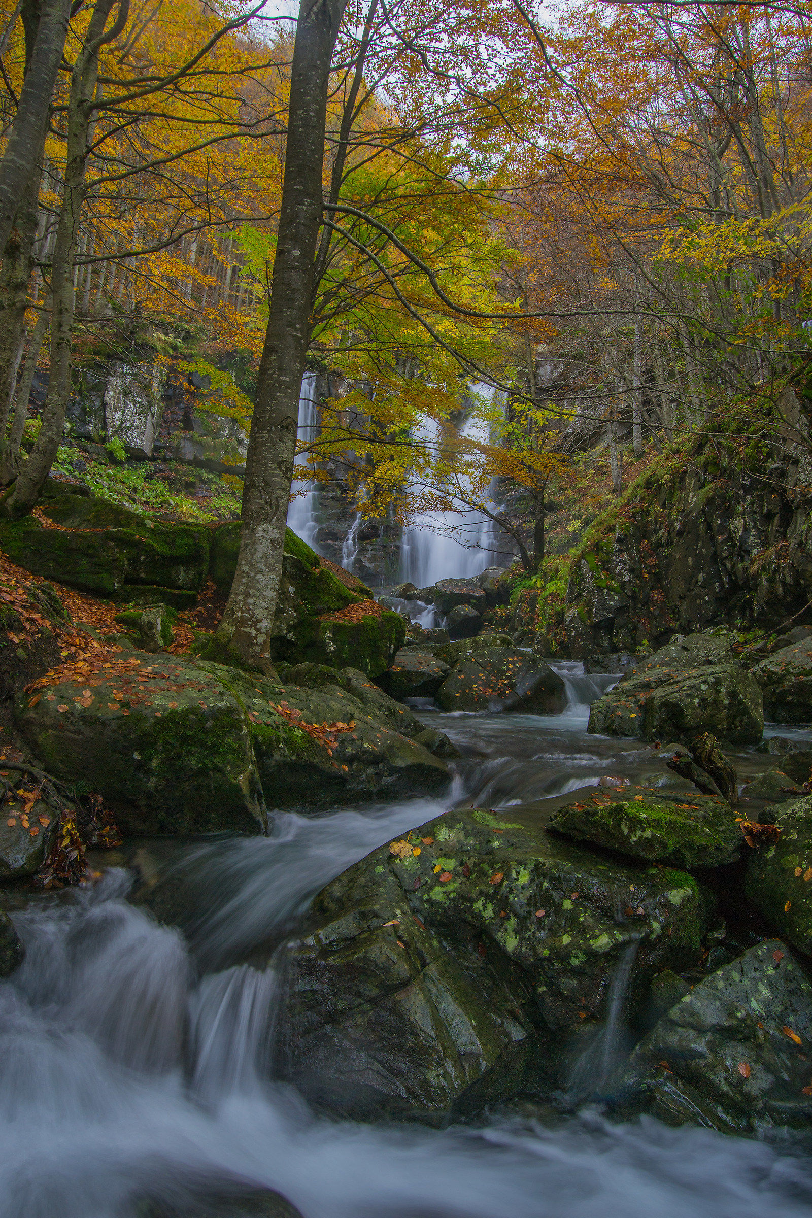 Cascate del Dardagna
