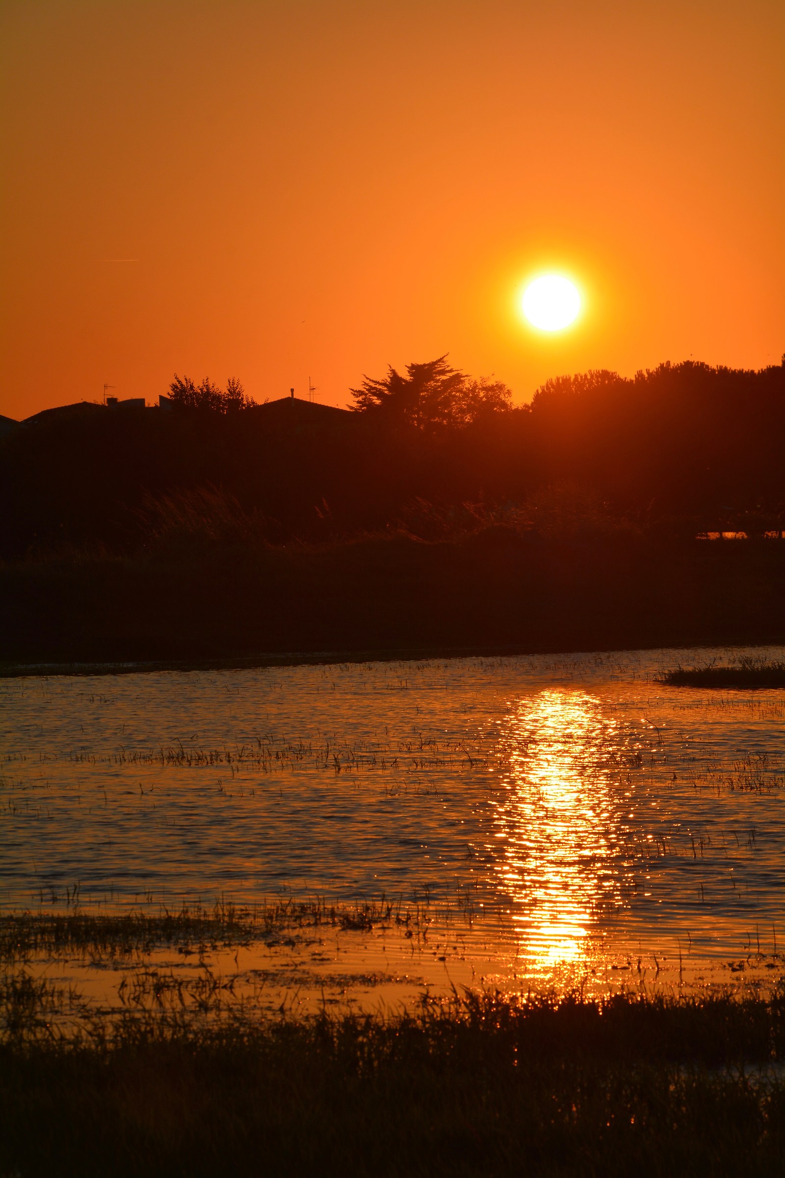 Tramonto Marchigiano