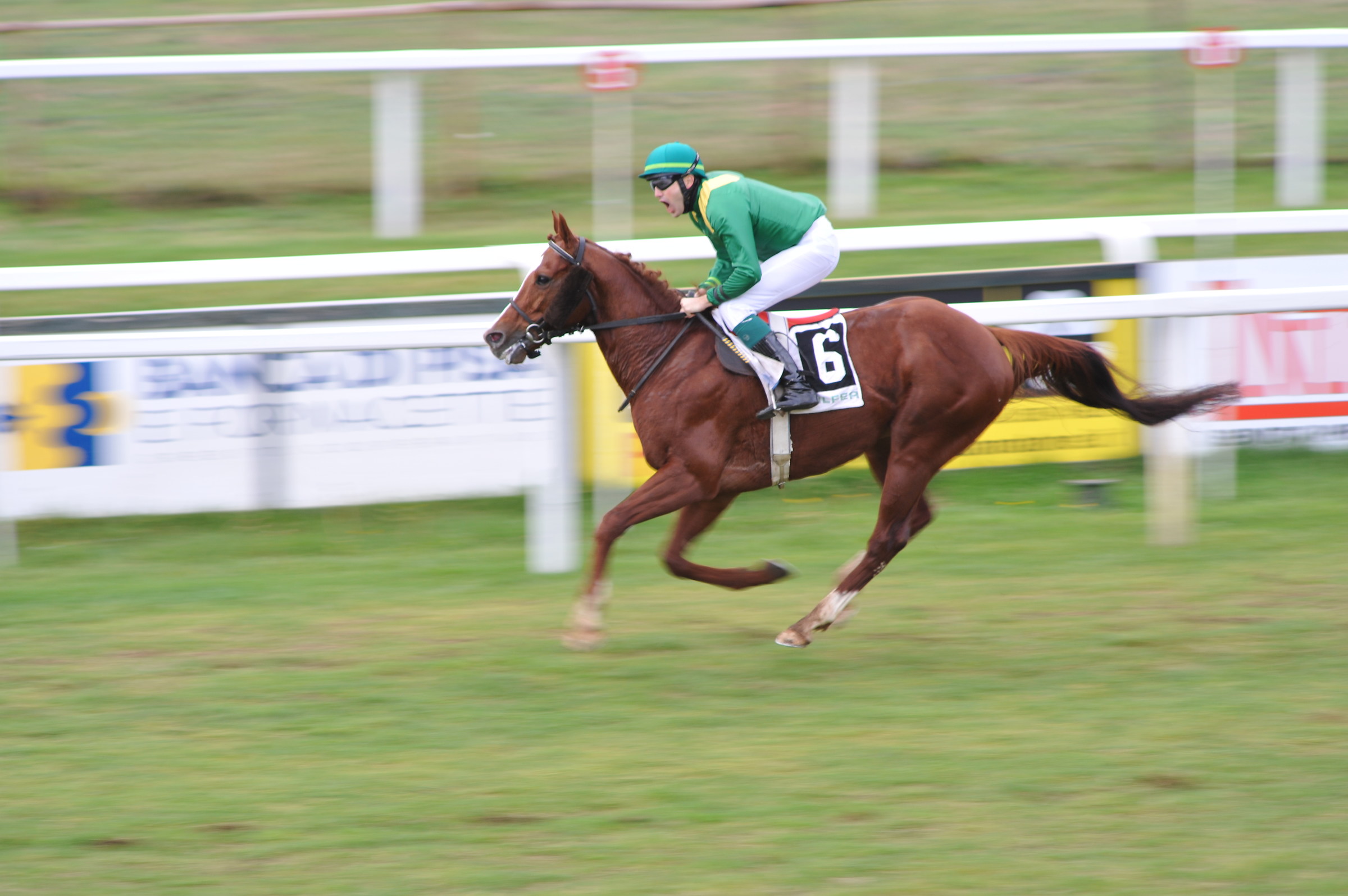 L'urlo del vincitore