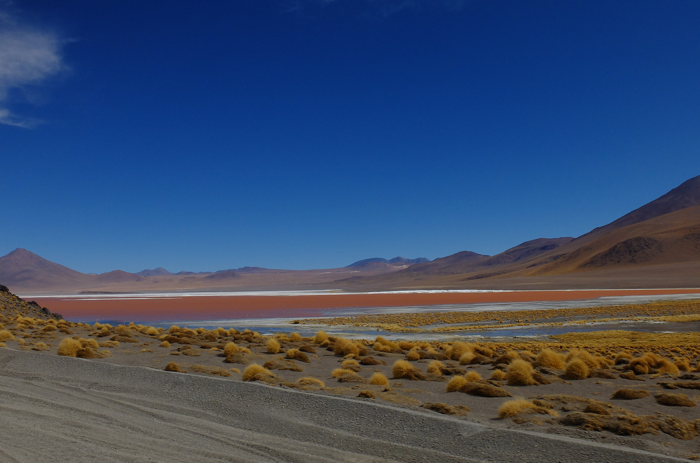 laguna boliviana