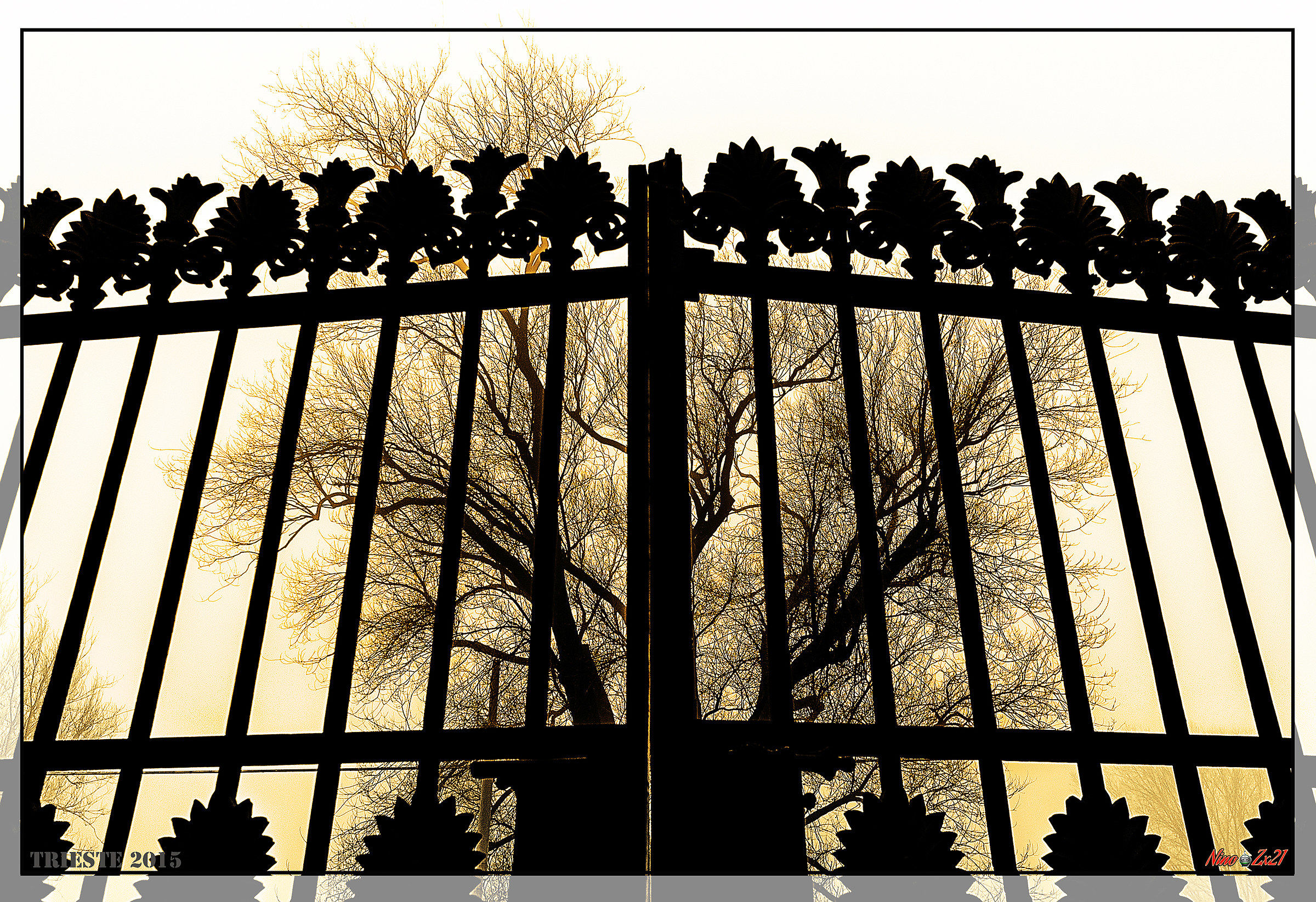 Do not open that camcello