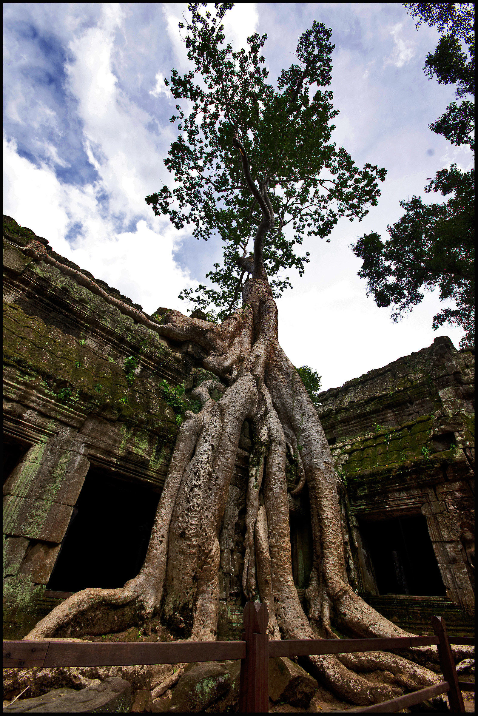 Ta Phrom