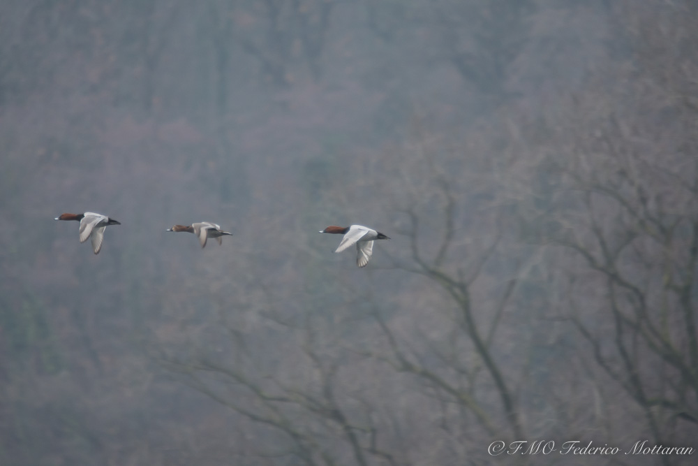 trip with the stock ..