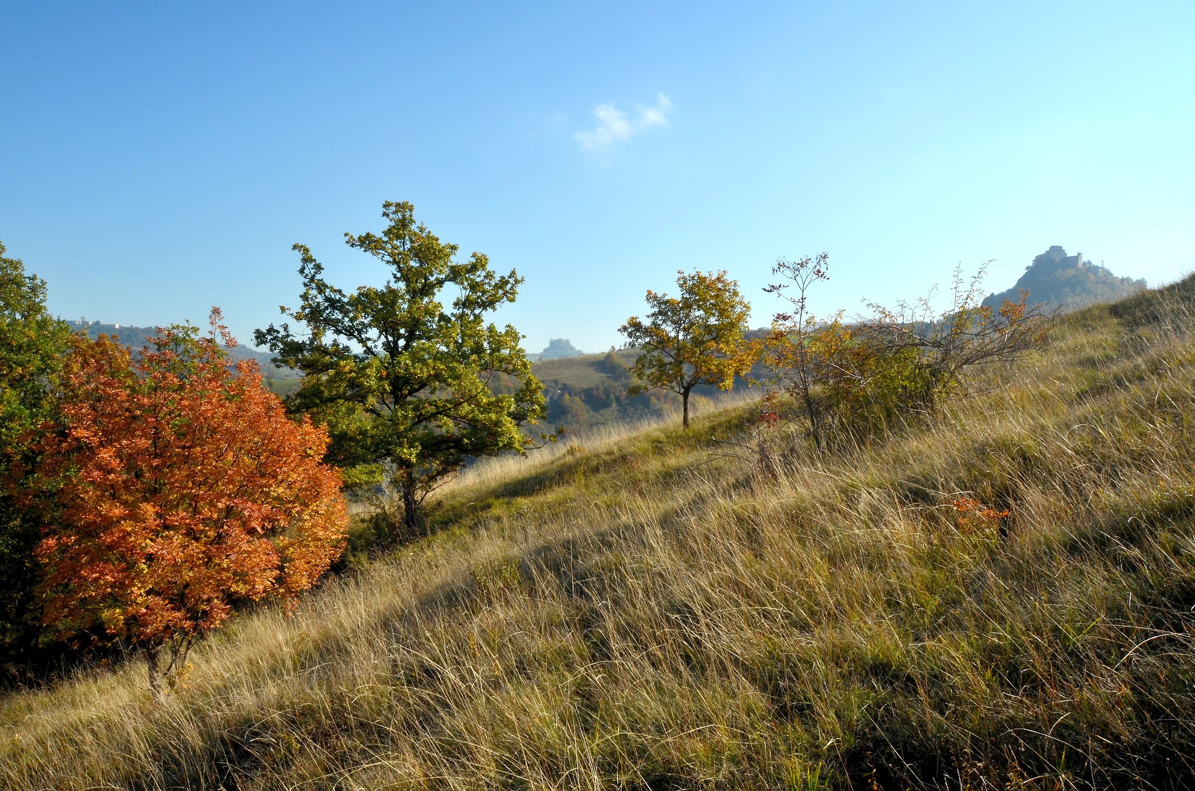 Castello di Rossena e rupe di Canossa