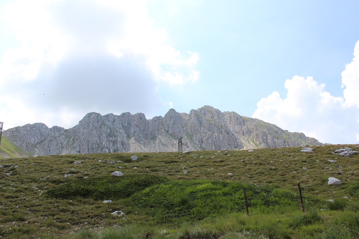 Monte