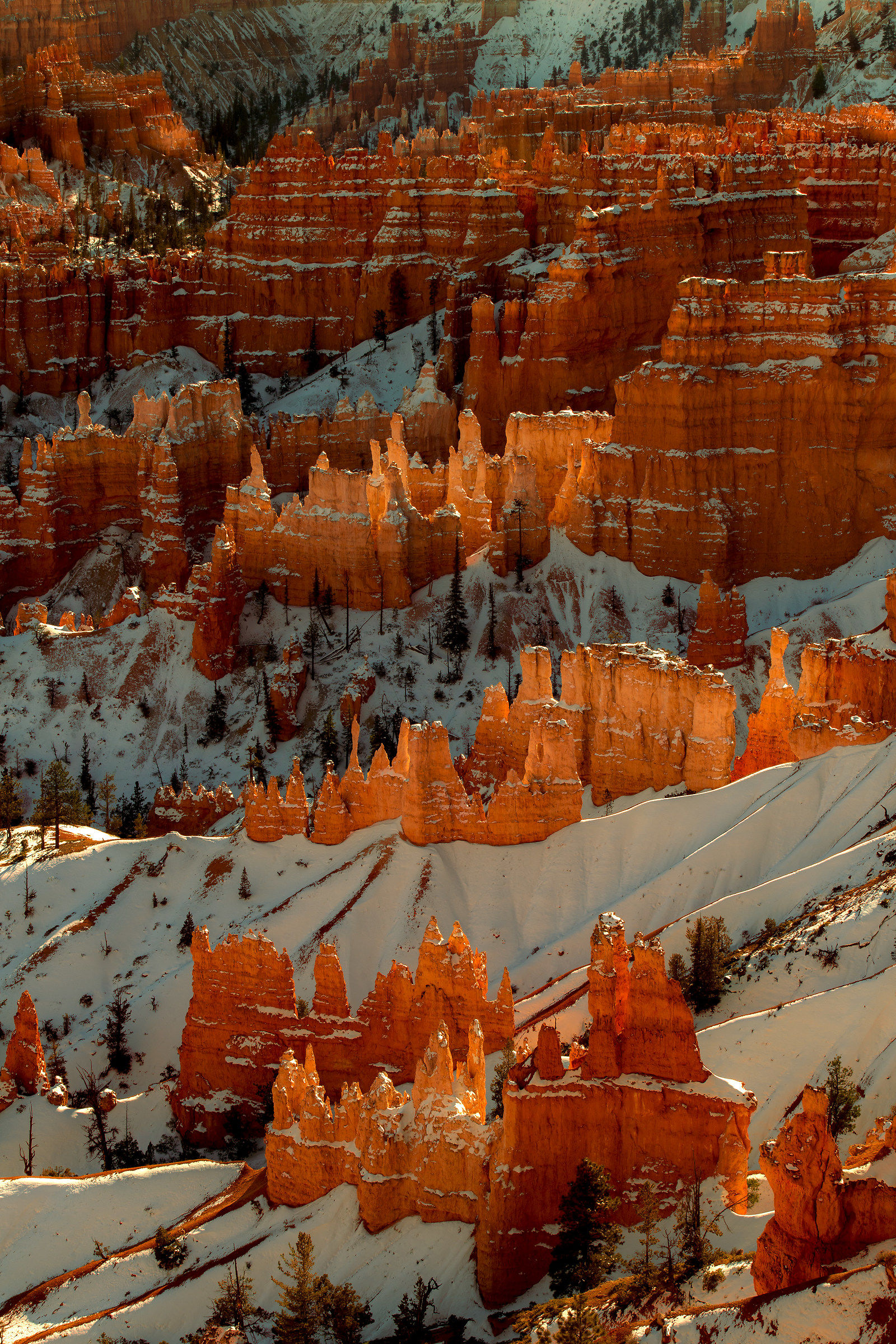 Bryce canyon