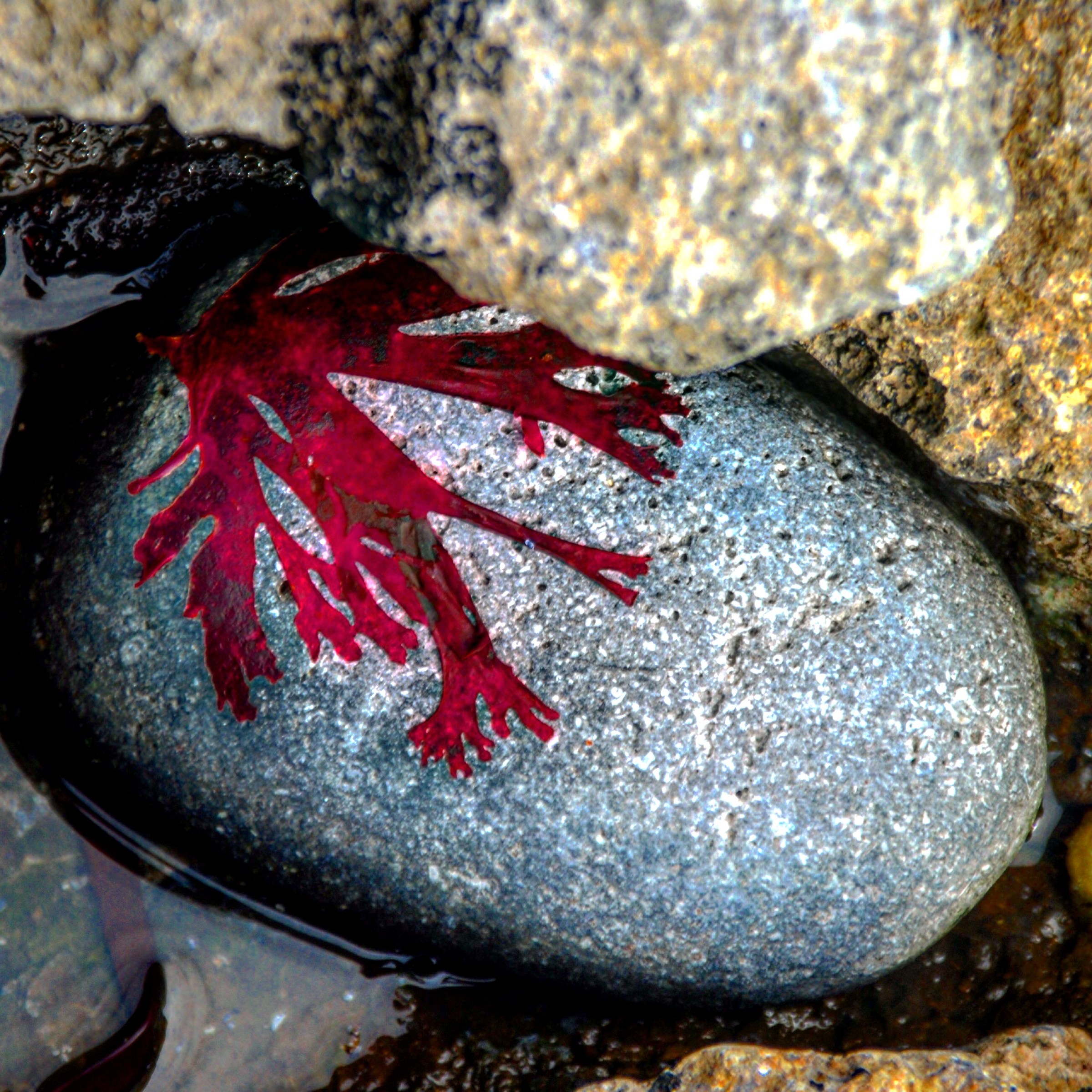 Design du natural stone. Aran Islands (Ireland)