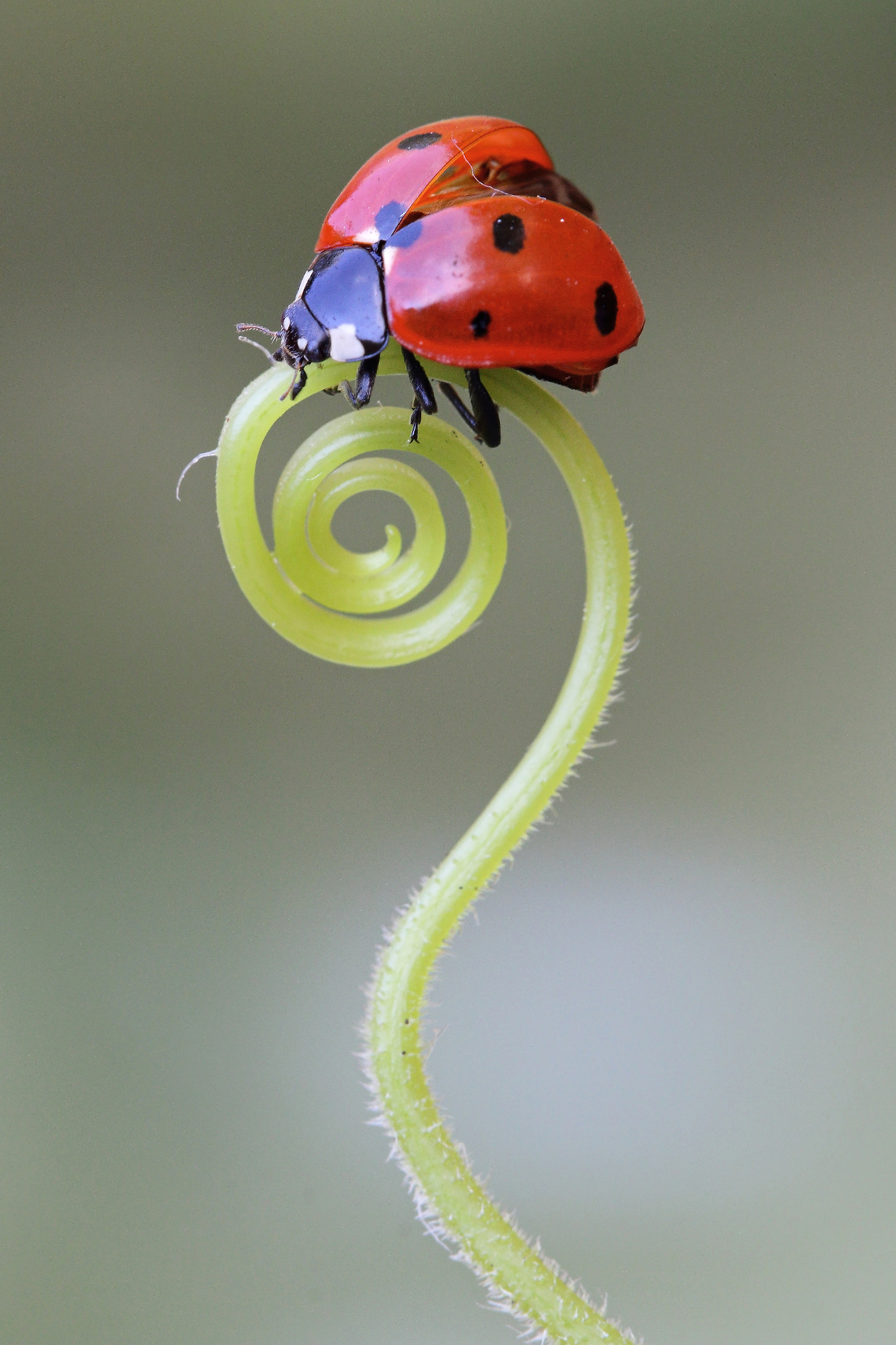 Life is always a big question mark ...