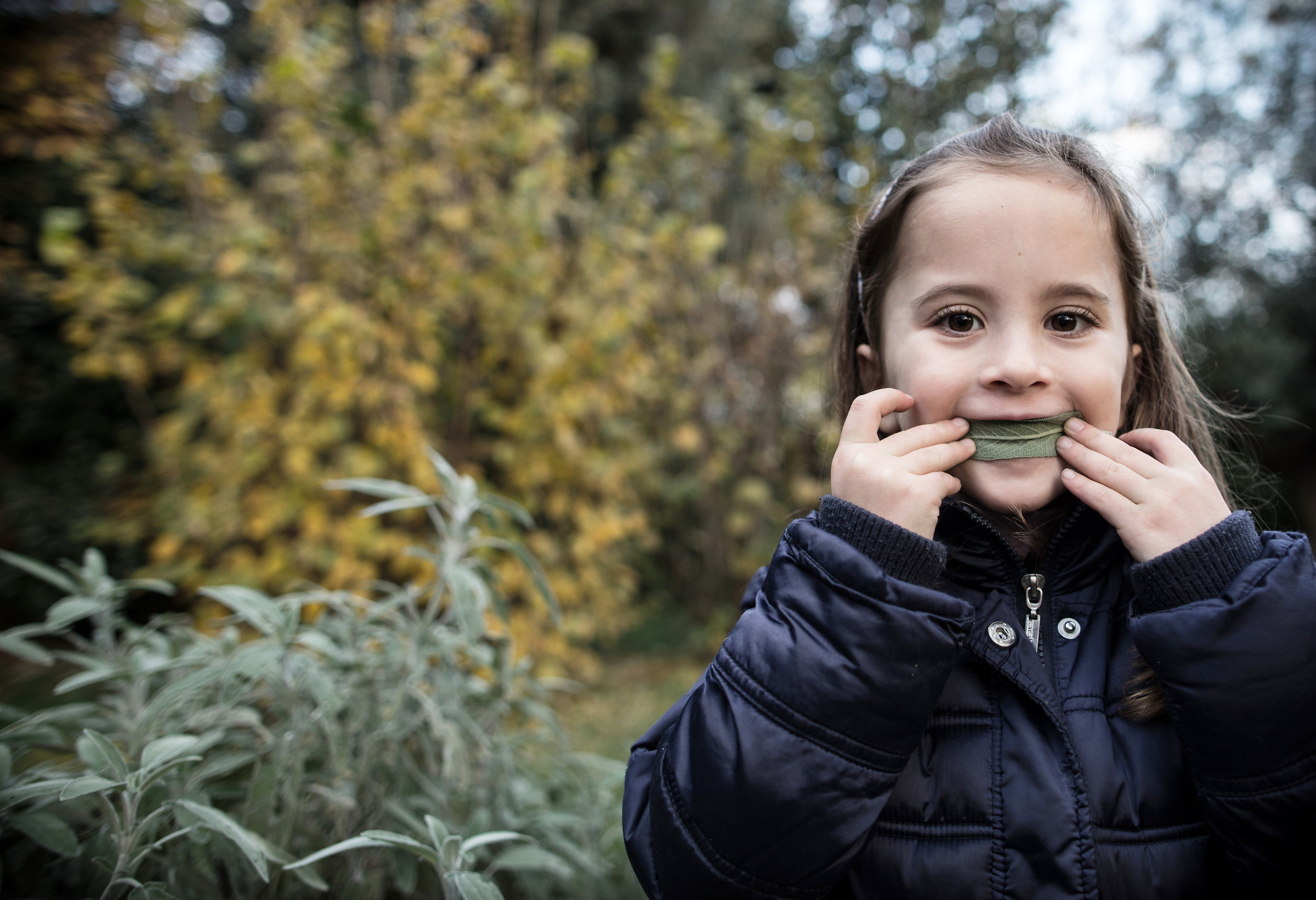 Salvia ... pulisce i denti!