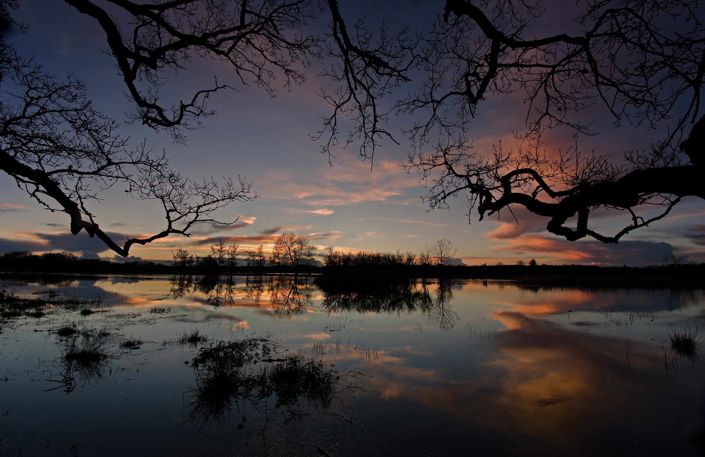 Sotto la Quercia grande (inondazioni al tramonto)