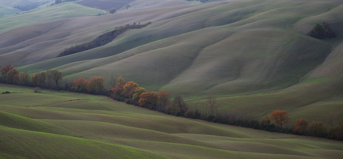 Val D'orcia