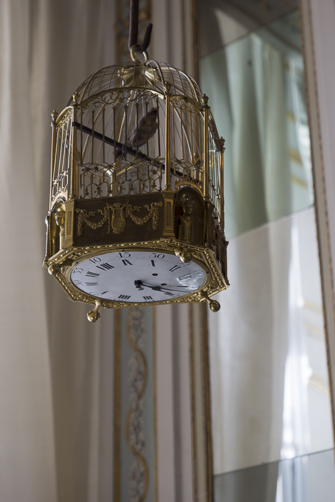 Reggia di Caserta cage