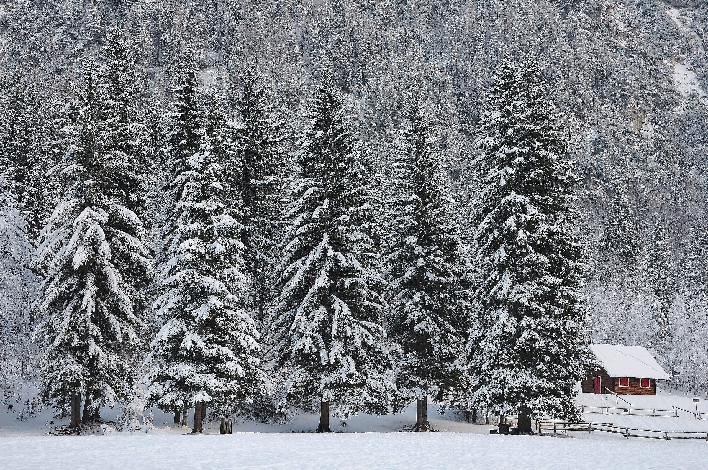 Fusine Lakes Tarvisio (ud)