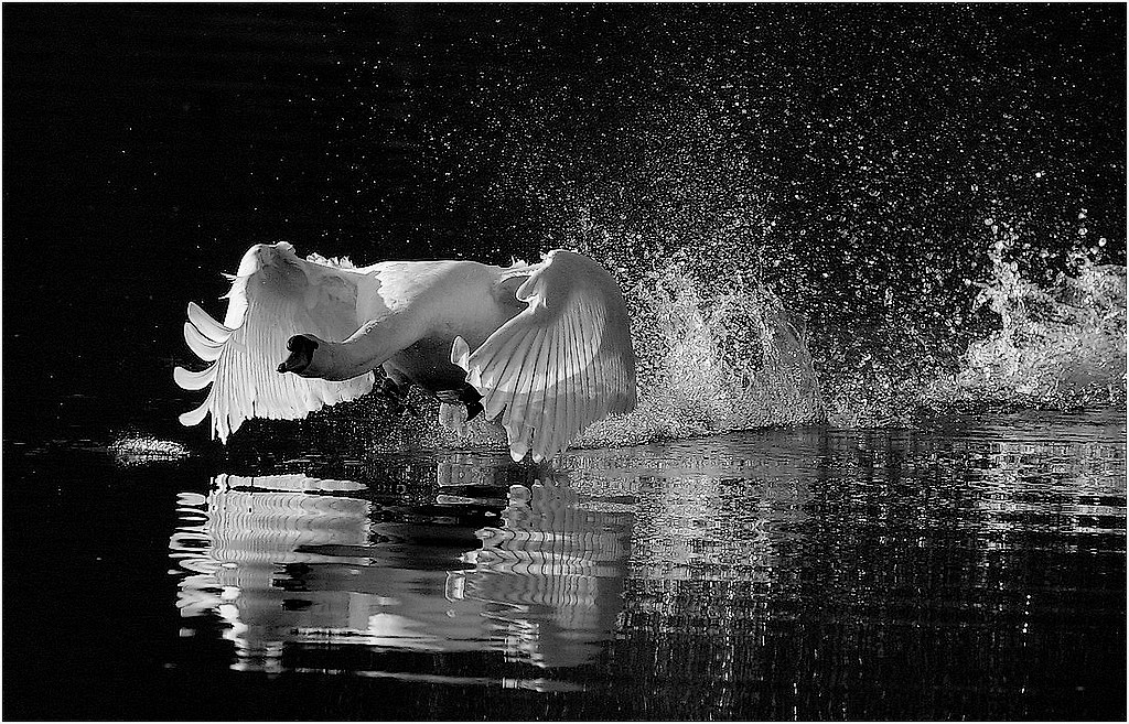 , partenza in controluce ,,