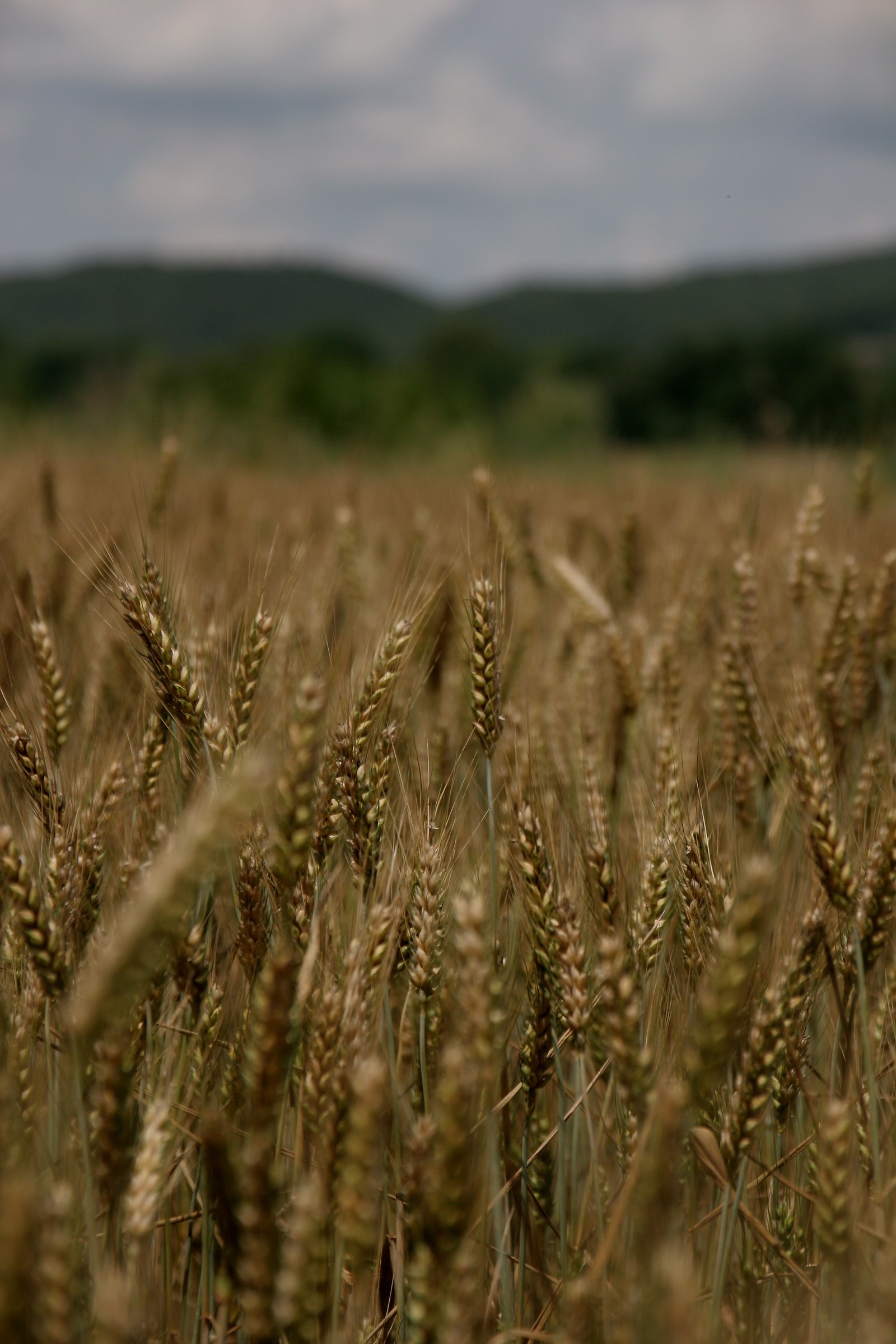 one unique and inimitable .....