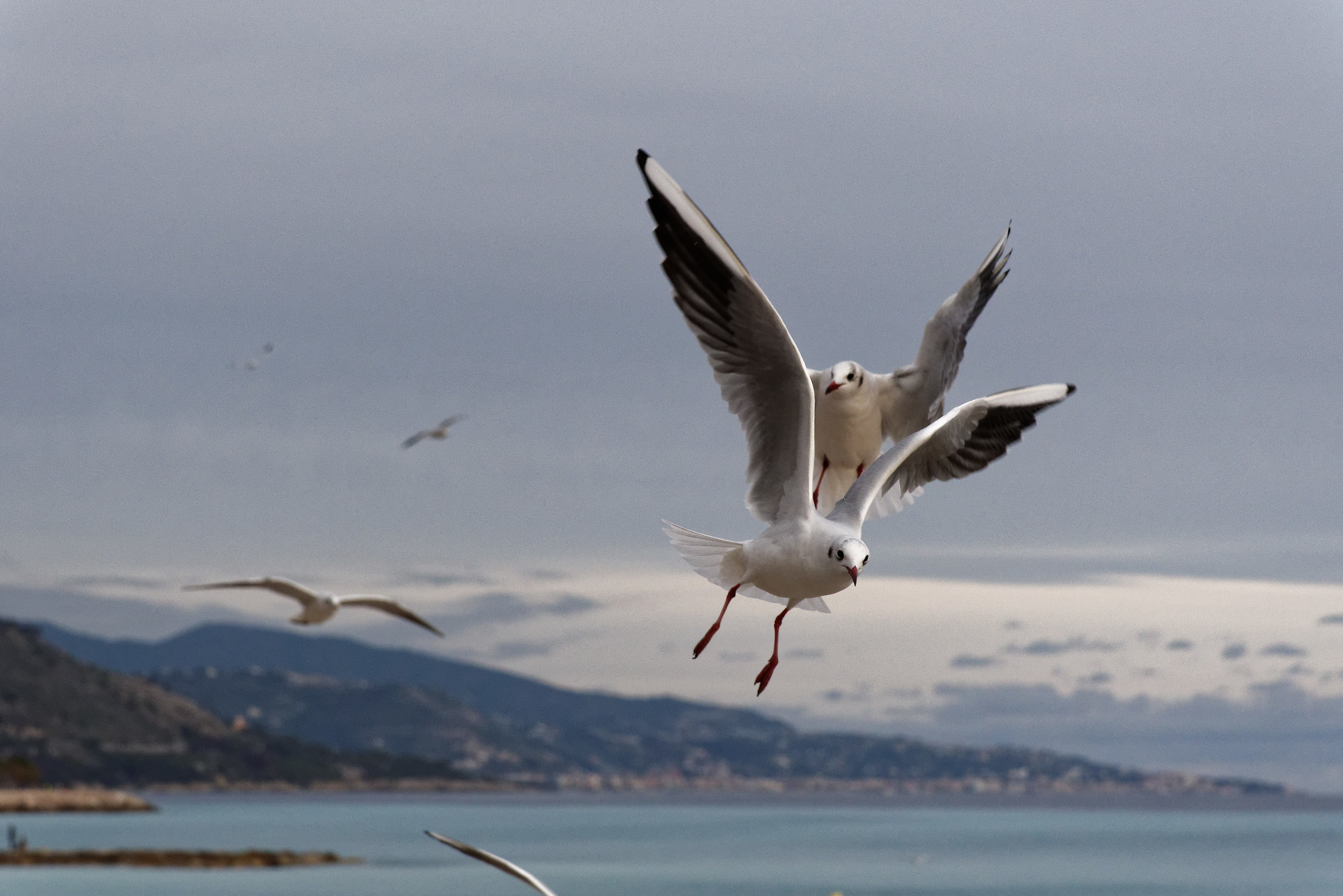Scendi che mi fai male!