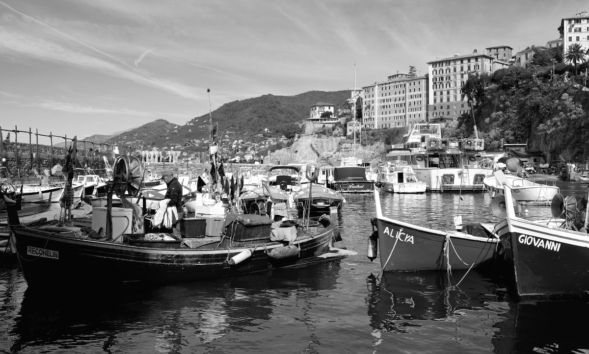 The return of Recchelin