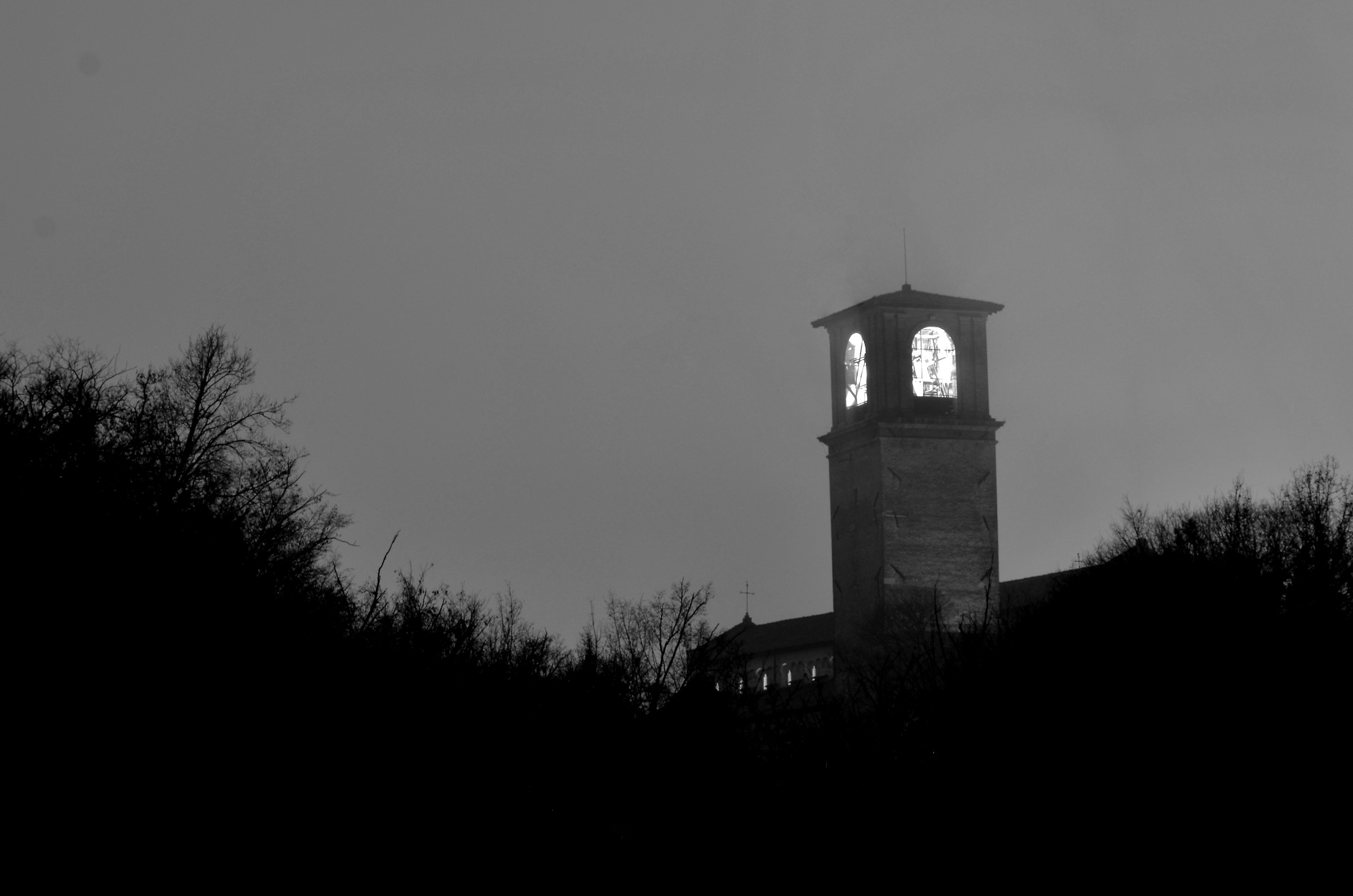the dome in the wood