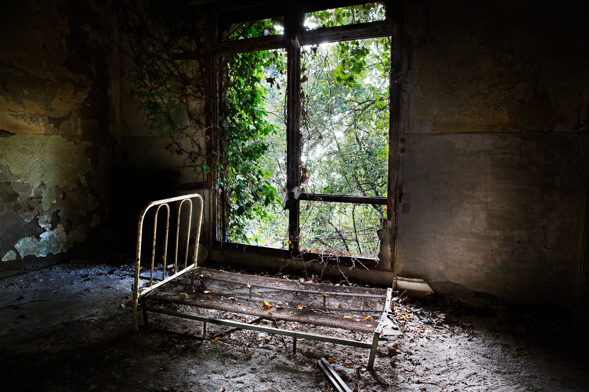 Former mental Poveglia (Venice) # 3