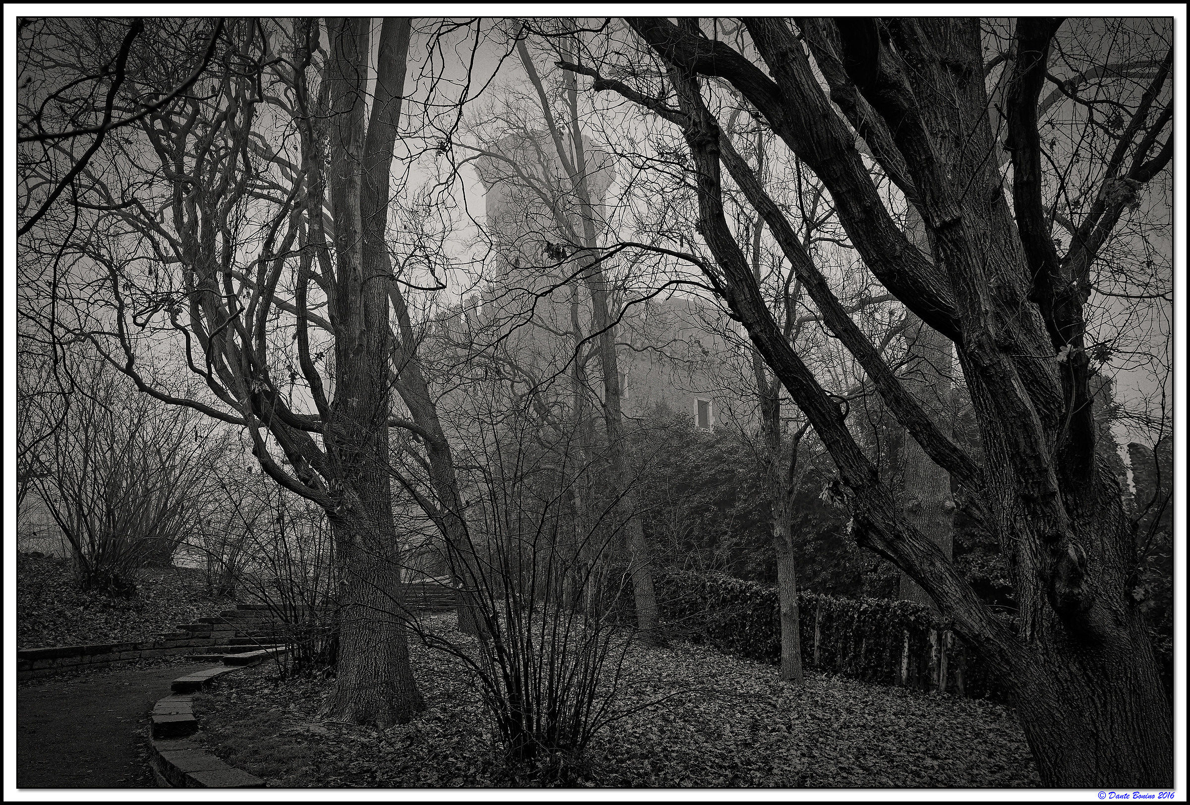 Nel mezzo del cammin, nella selva scura...