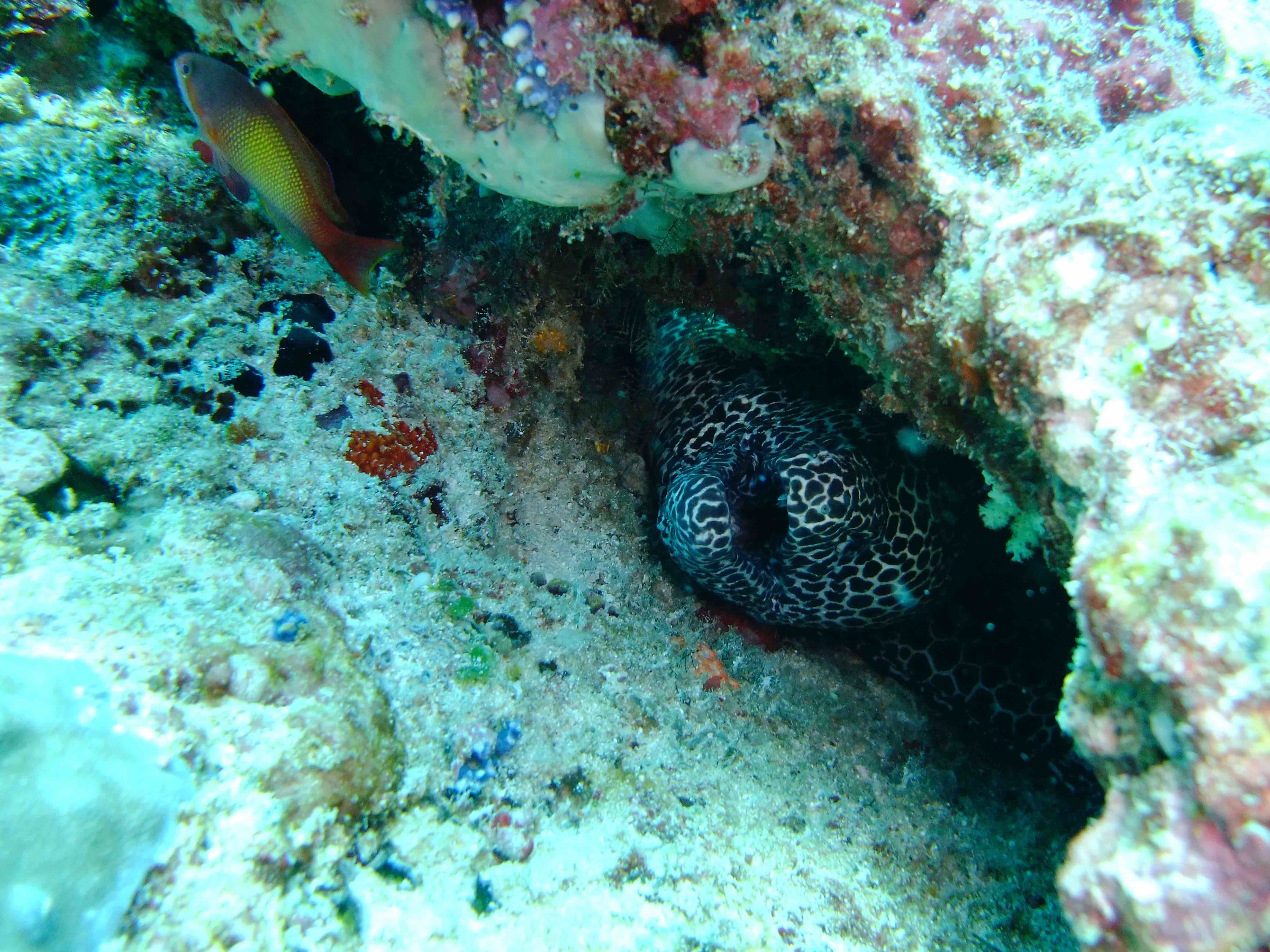 Presenza inquietante