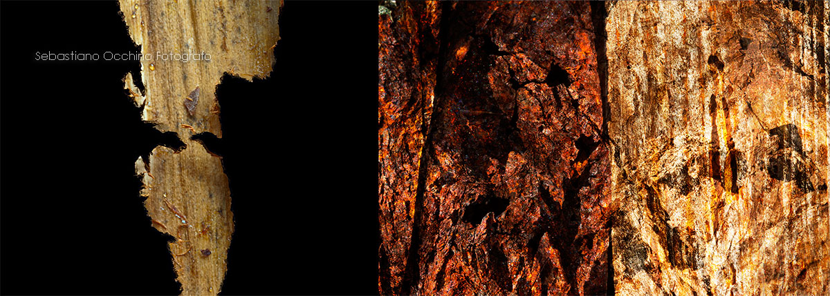 Composition polimaterica 6