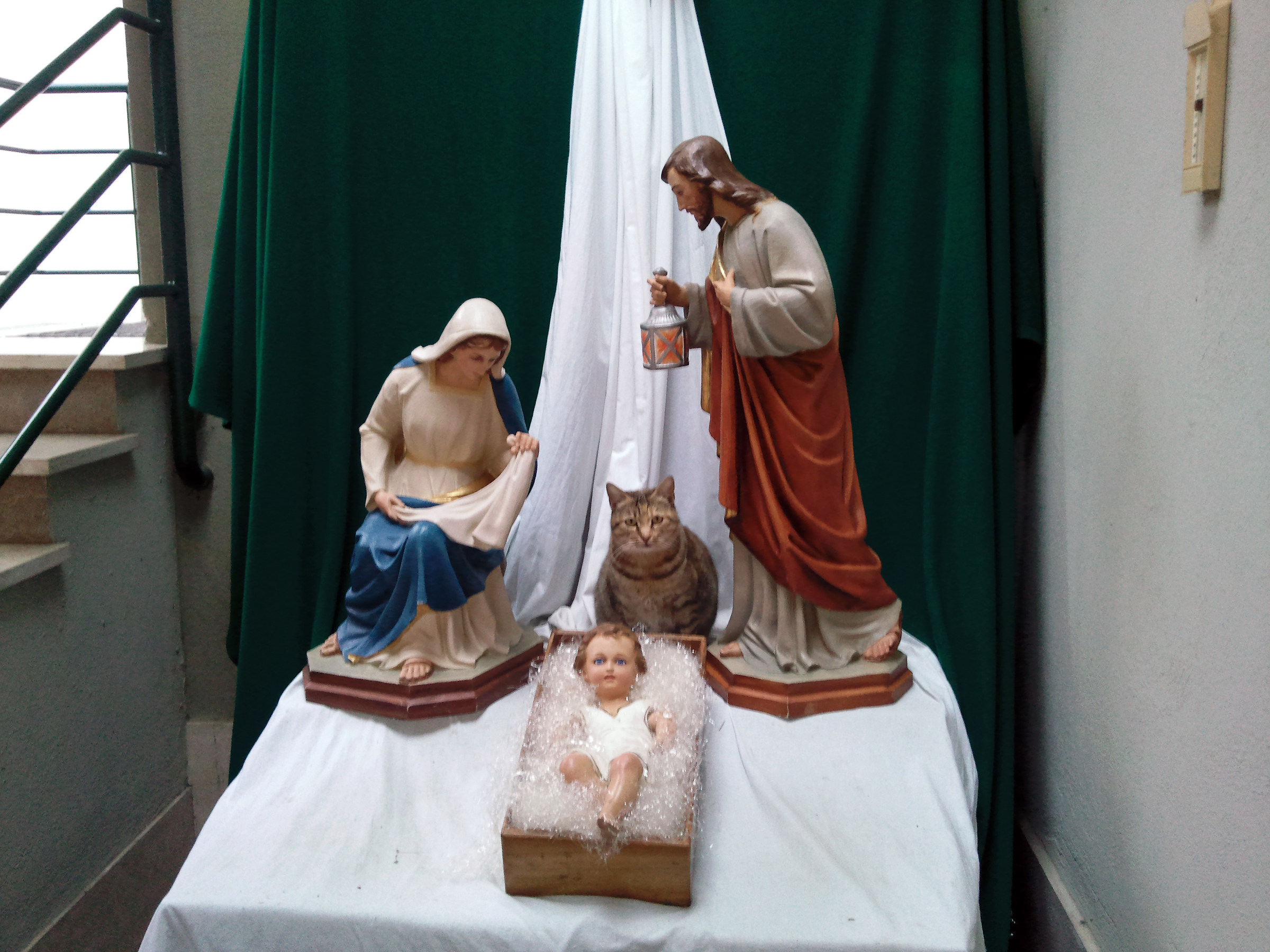 In sostituzione del bue e dell'asinello...