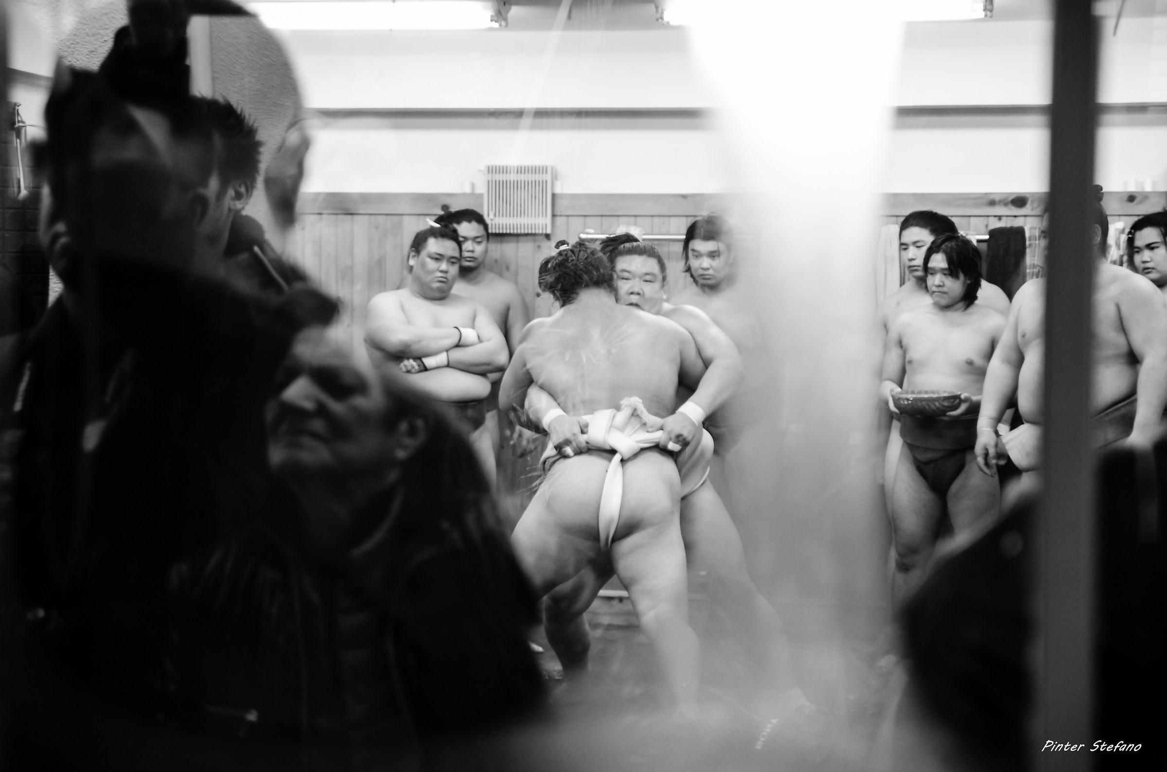 Allenamento di sumo 1