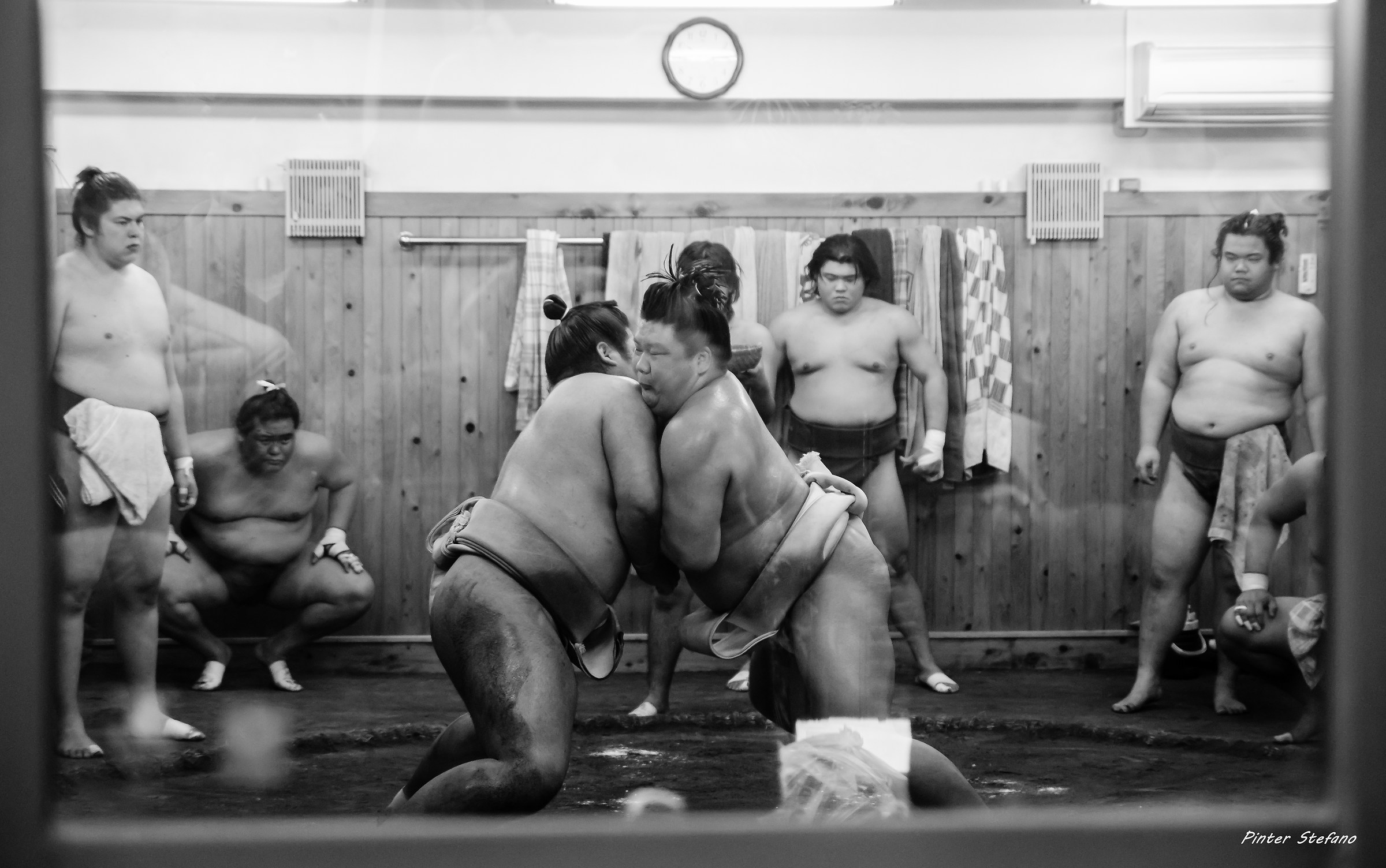 Allenamento di sumo 2