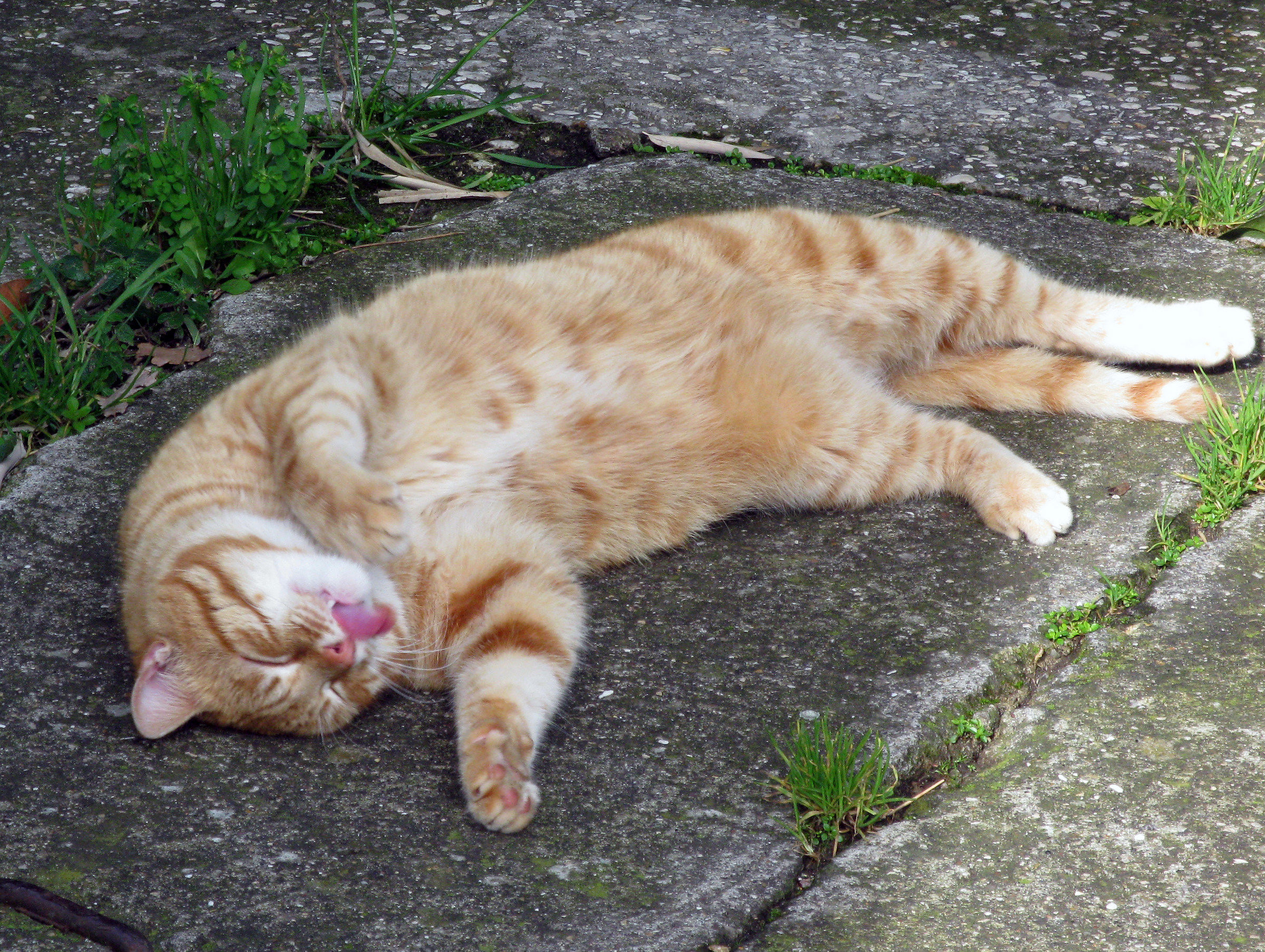 La vita... che stress