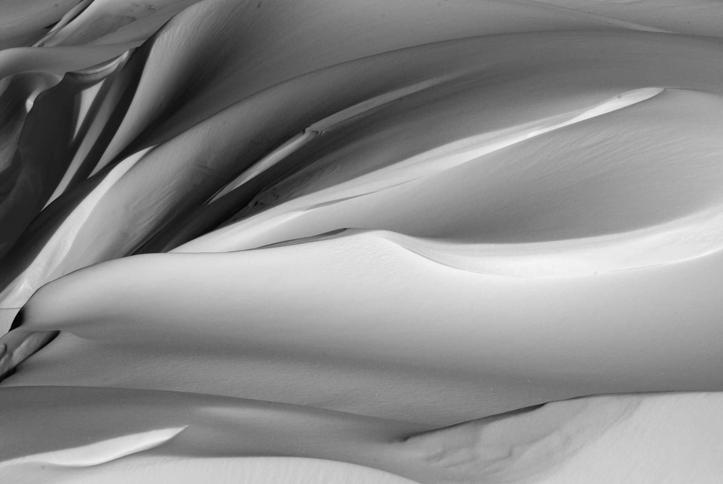 Le forme dell'acqua 2