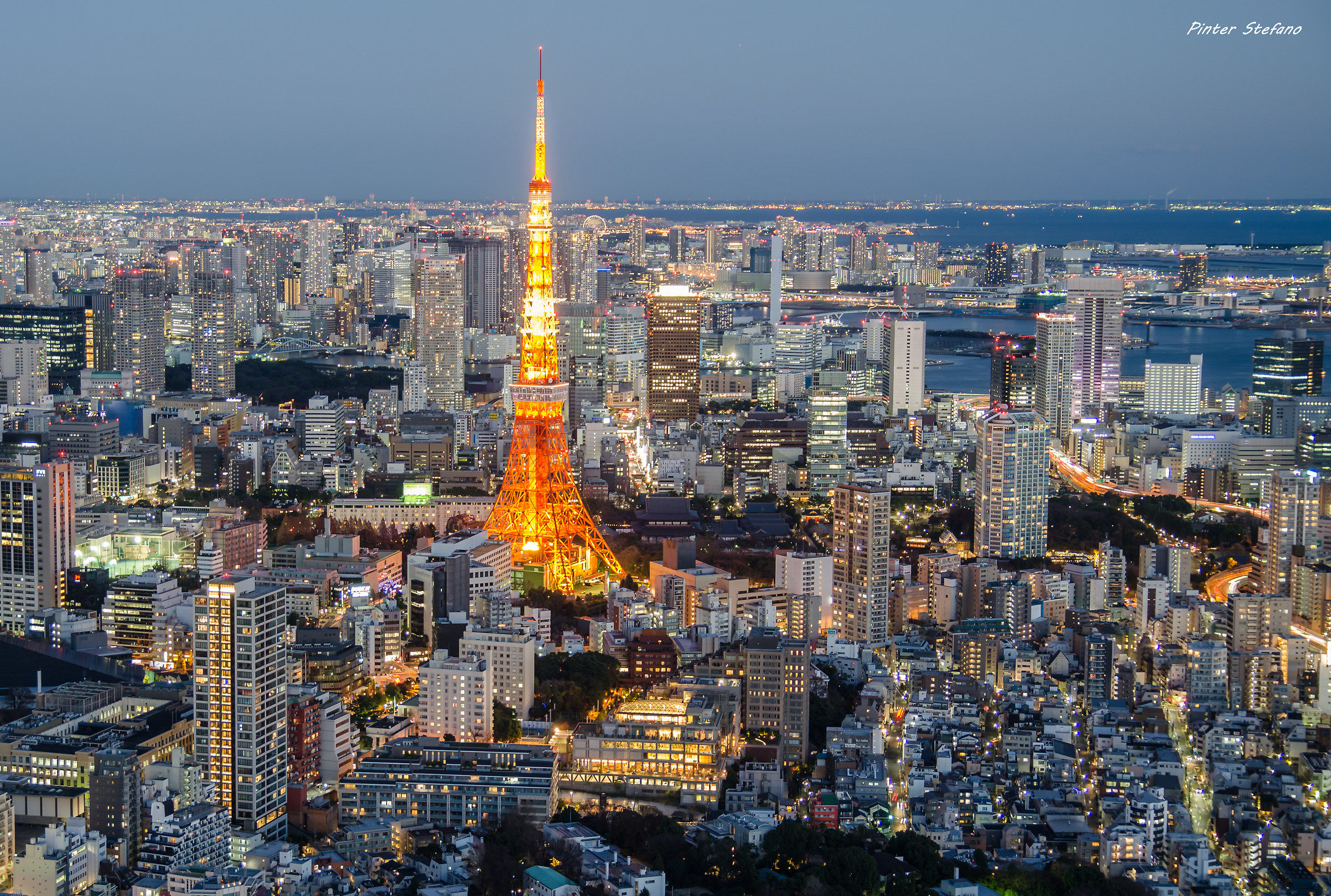 tokyo dalla Mori tower