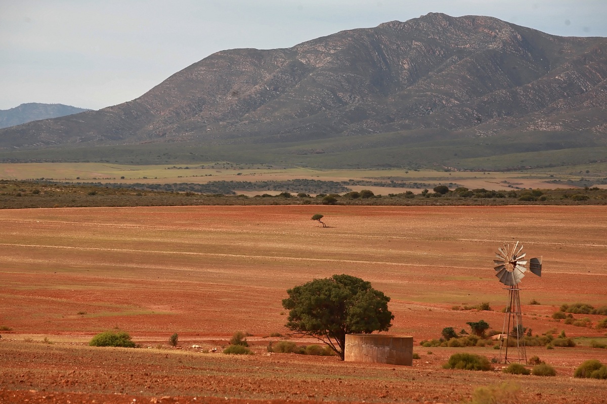 South African Paradise