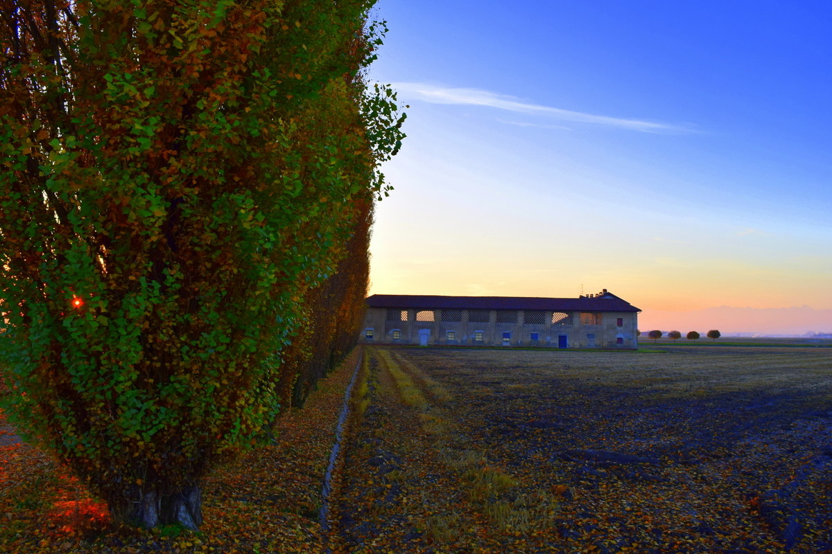 campagna d'autunno 2