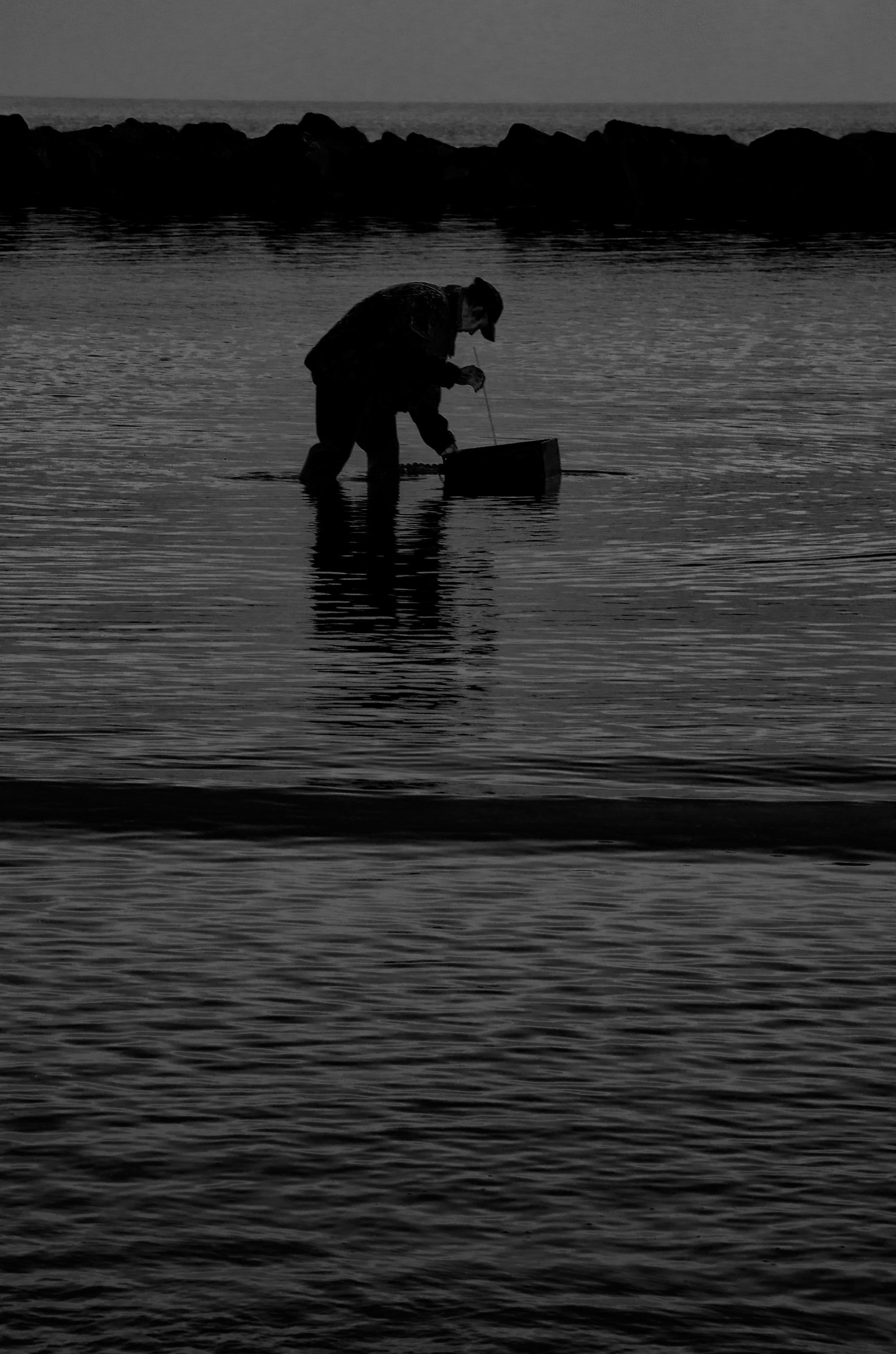 pescatore di cannolicchi