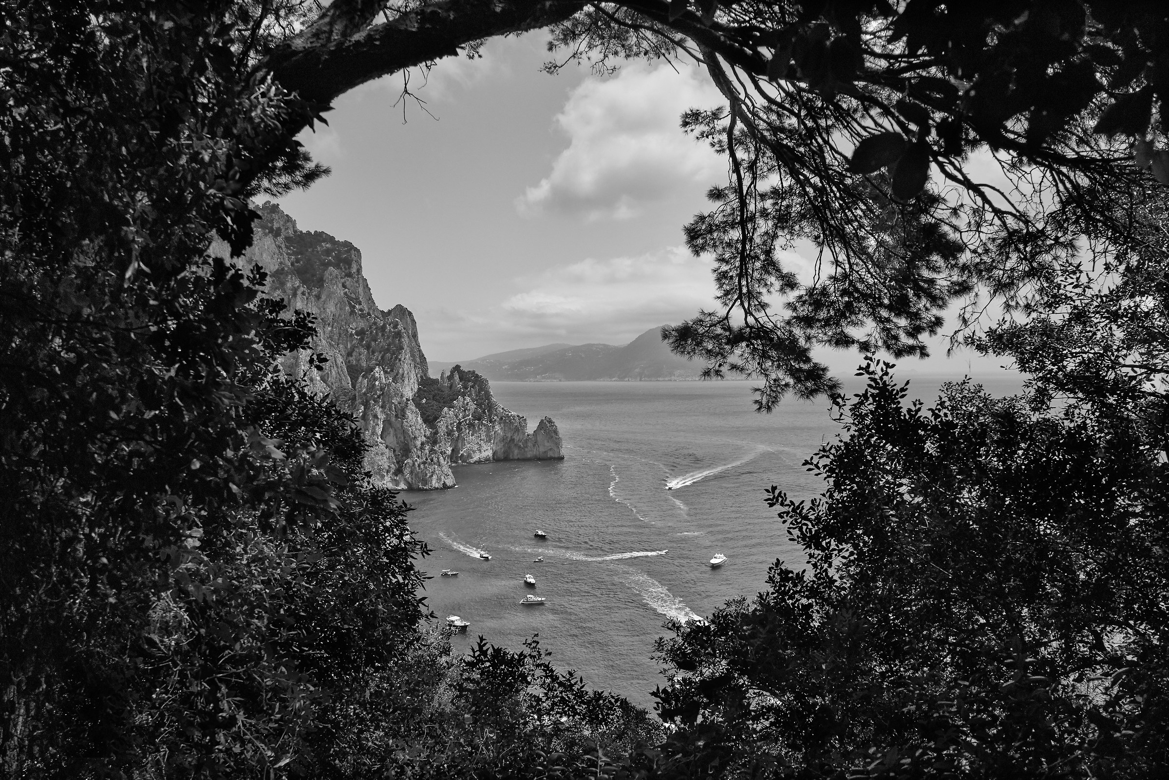 Capri BW