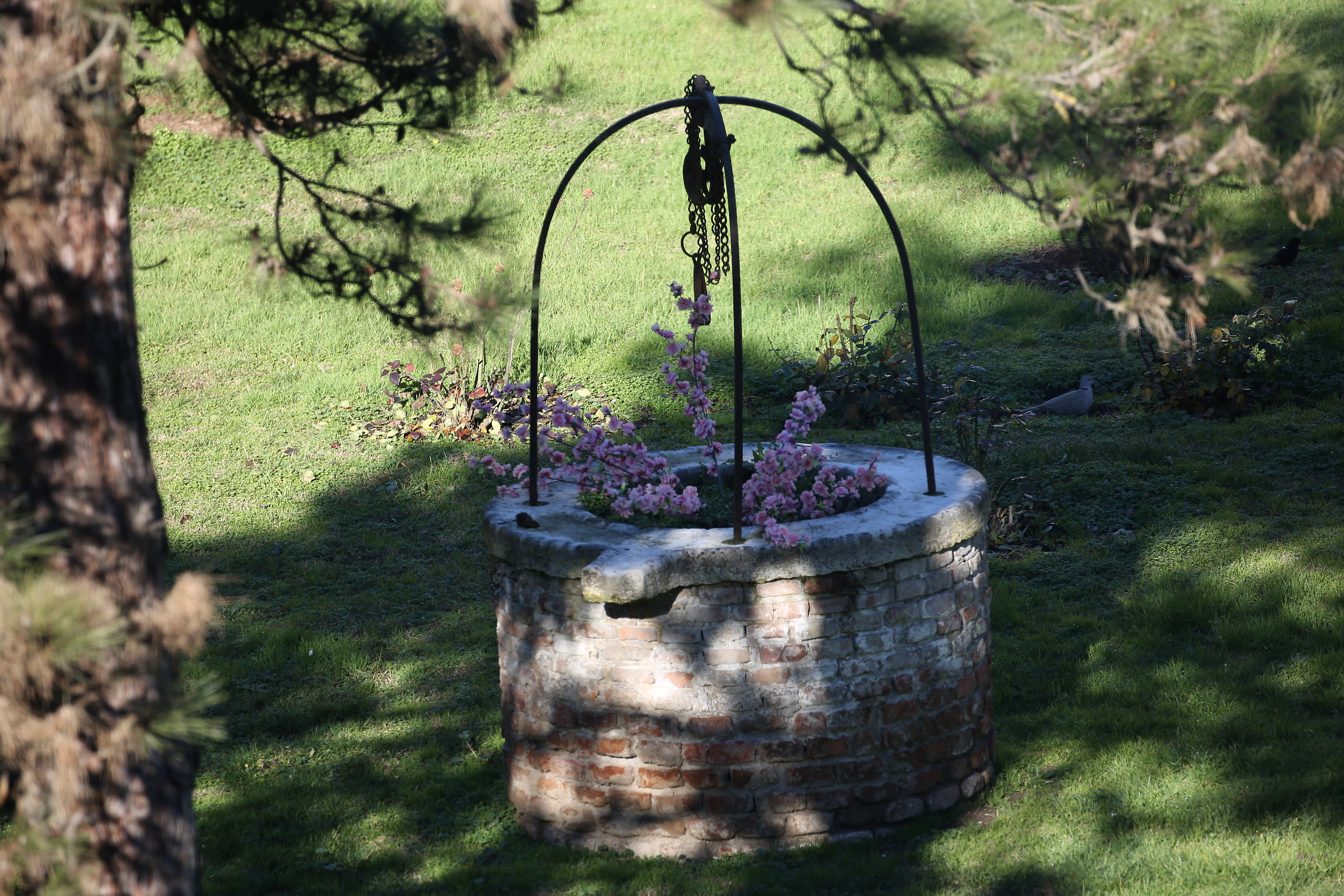 January ... Taken from the window seems to spring