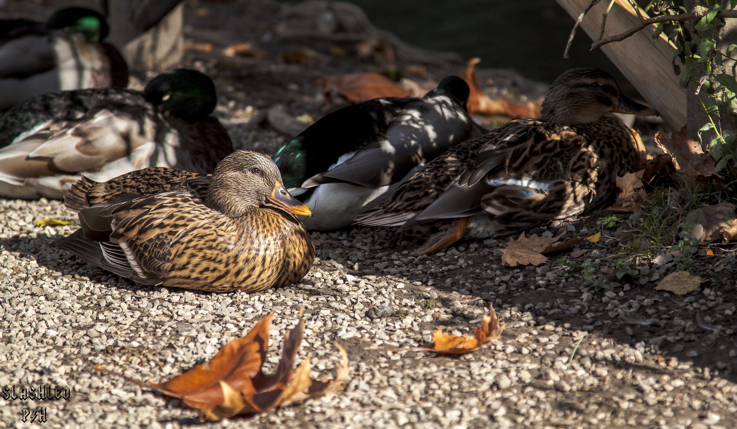 Relax al sole autunnale
