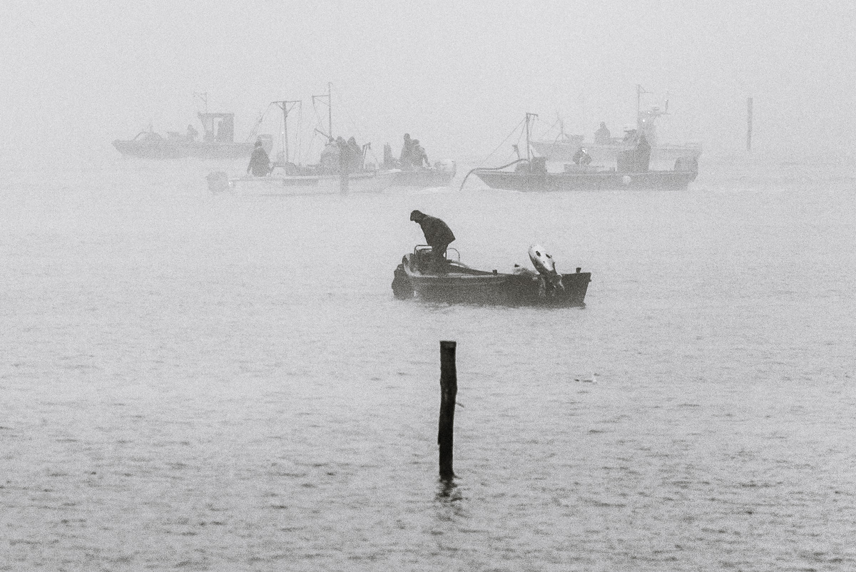 Al lavoro nella nebbia